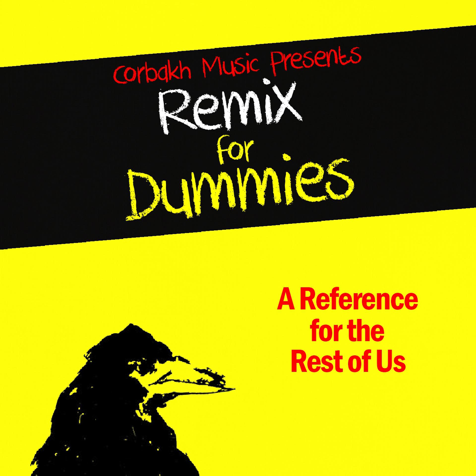 Постер альбома Remix for Dummies