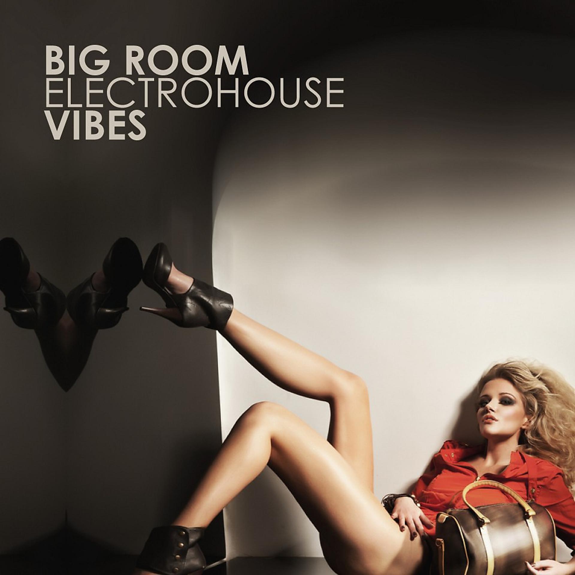 Постер альбома Big Room Electrohouse Vibes