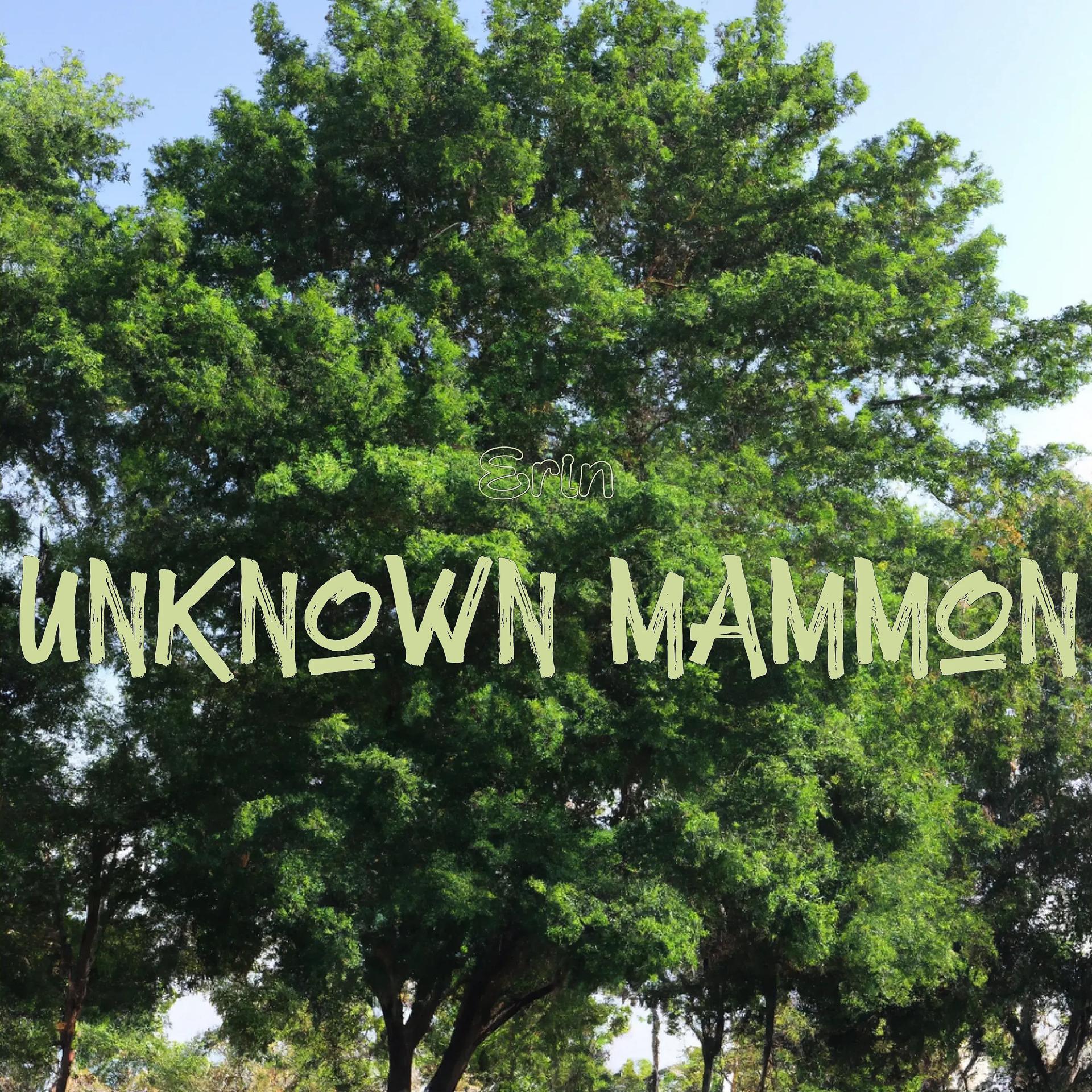 Постер альбома Unknown Mammon