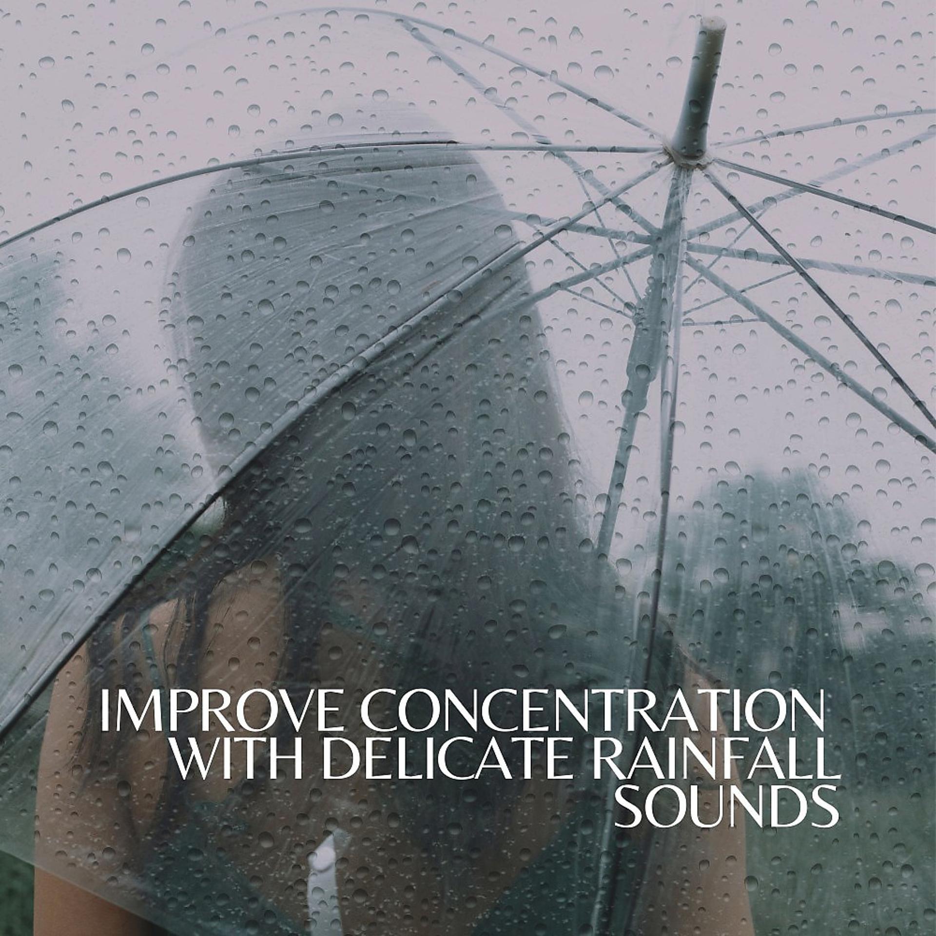 Постер альбома Improve Concentration with Delicate Rainfall Sounds