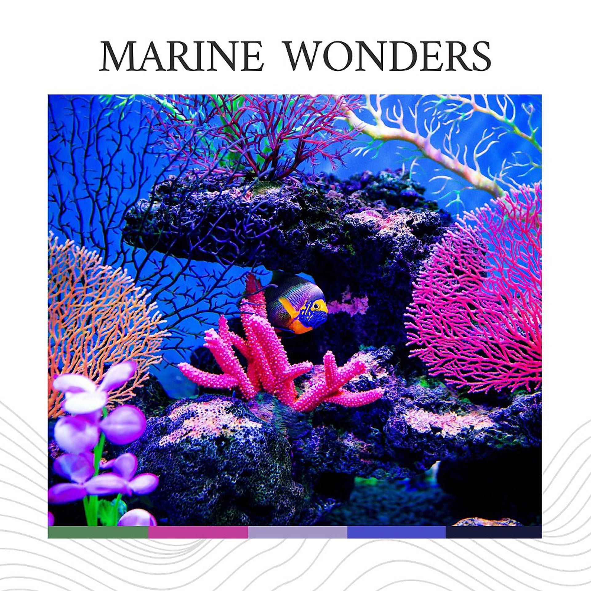 Постер альбома Marine Wonders