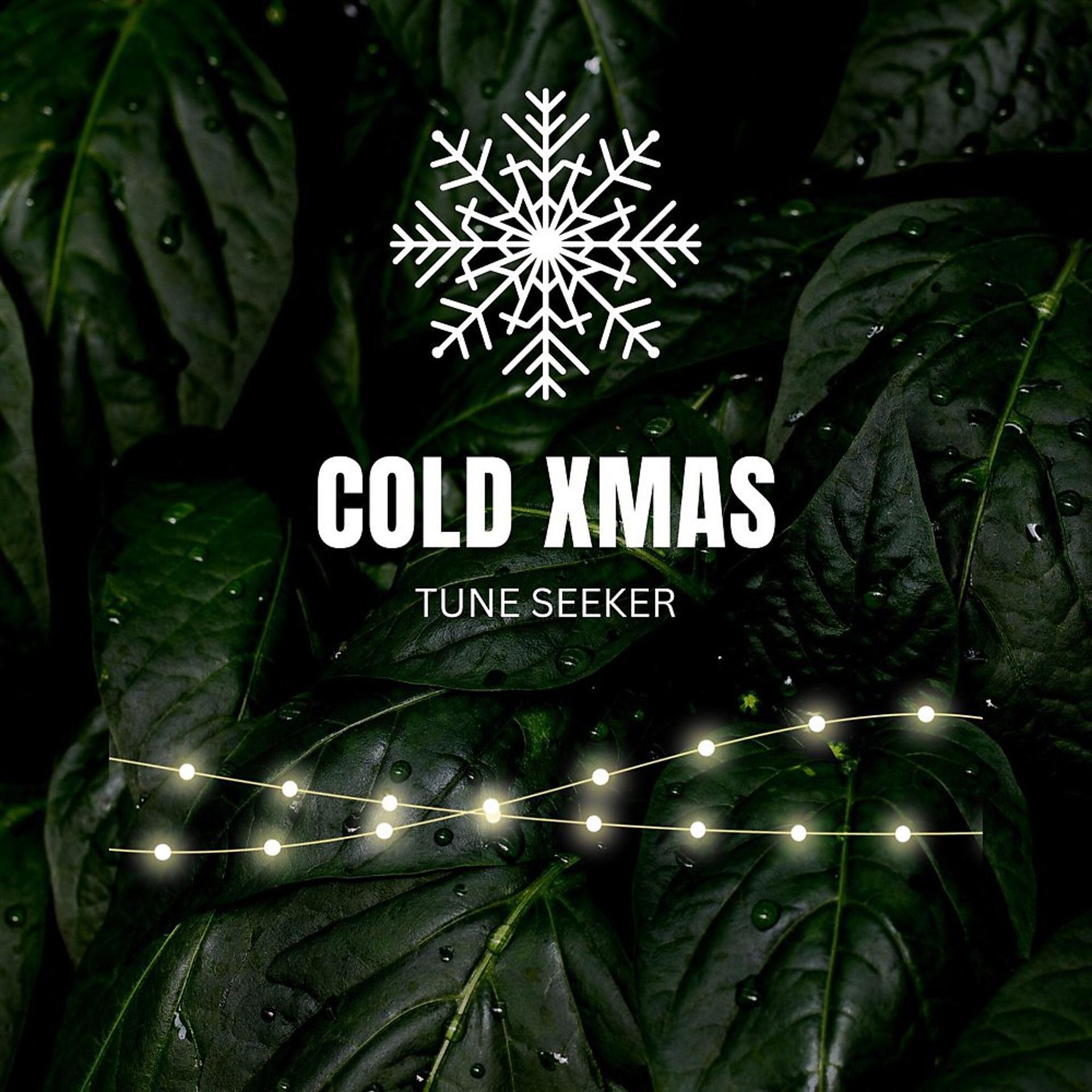 Постер альбома Cold Christmas
