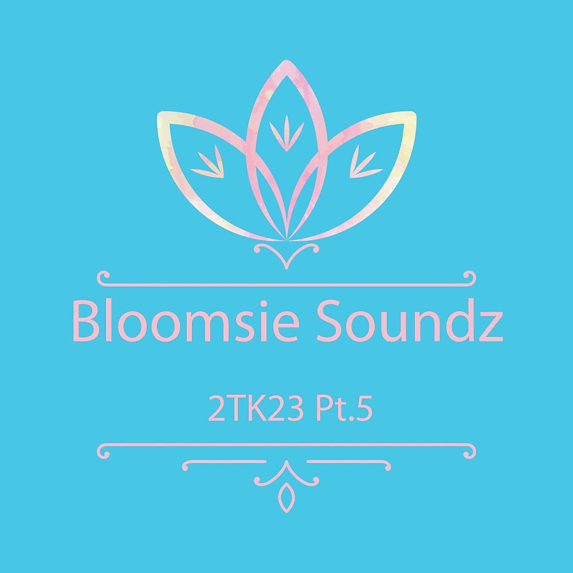 Постер альбома Bloomsie Soundz 2TK23, Pt. 5