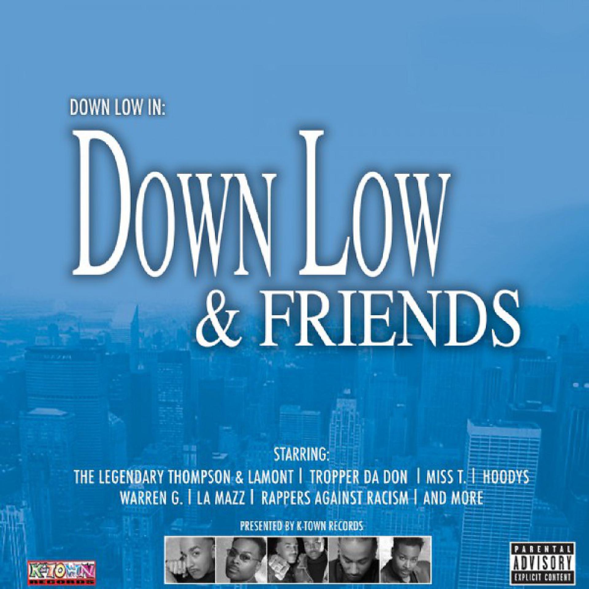 Постер альбома Down Low & Friends