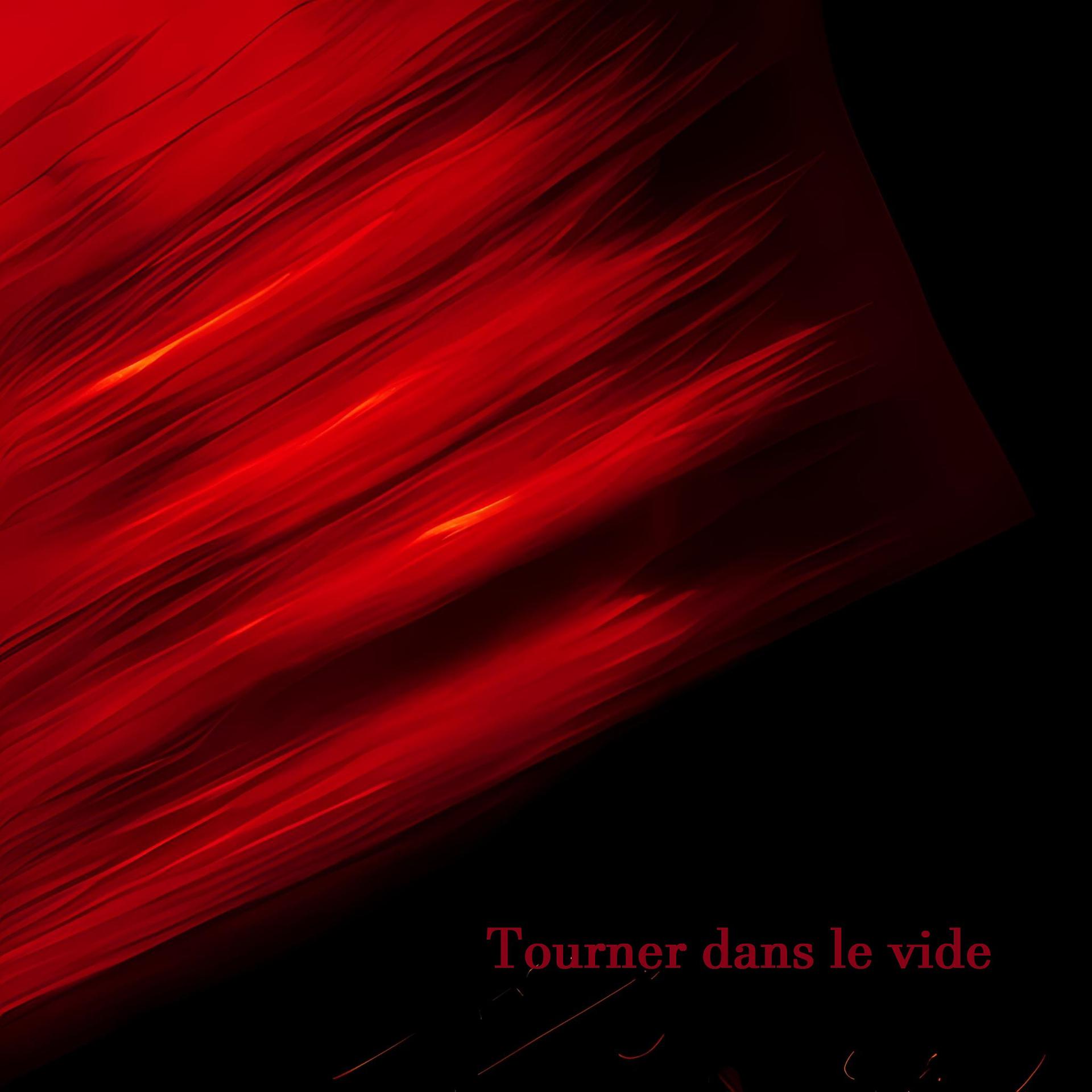 Постер альбома Tourner dans le vide