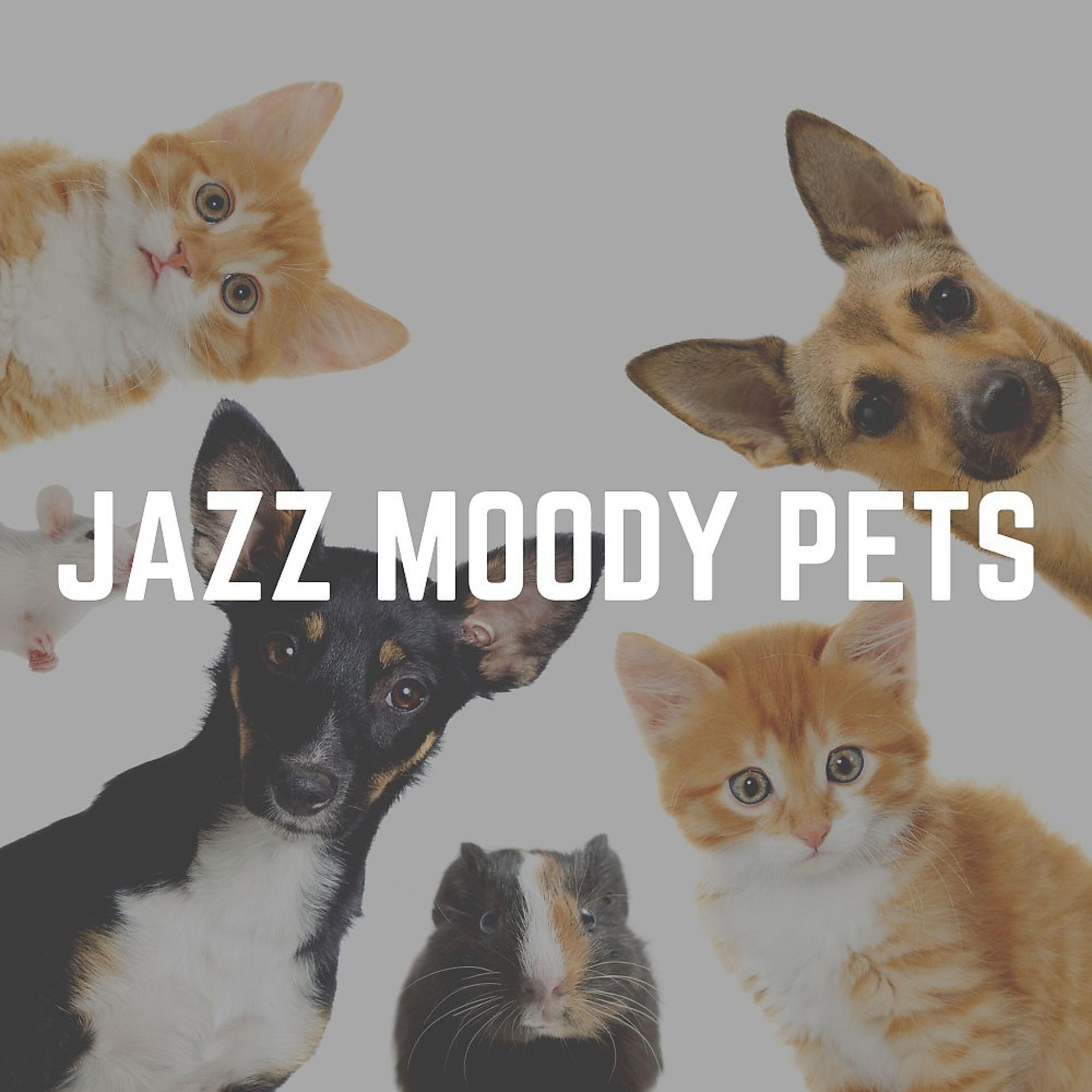 Постер альбома Jazz Moody Pets