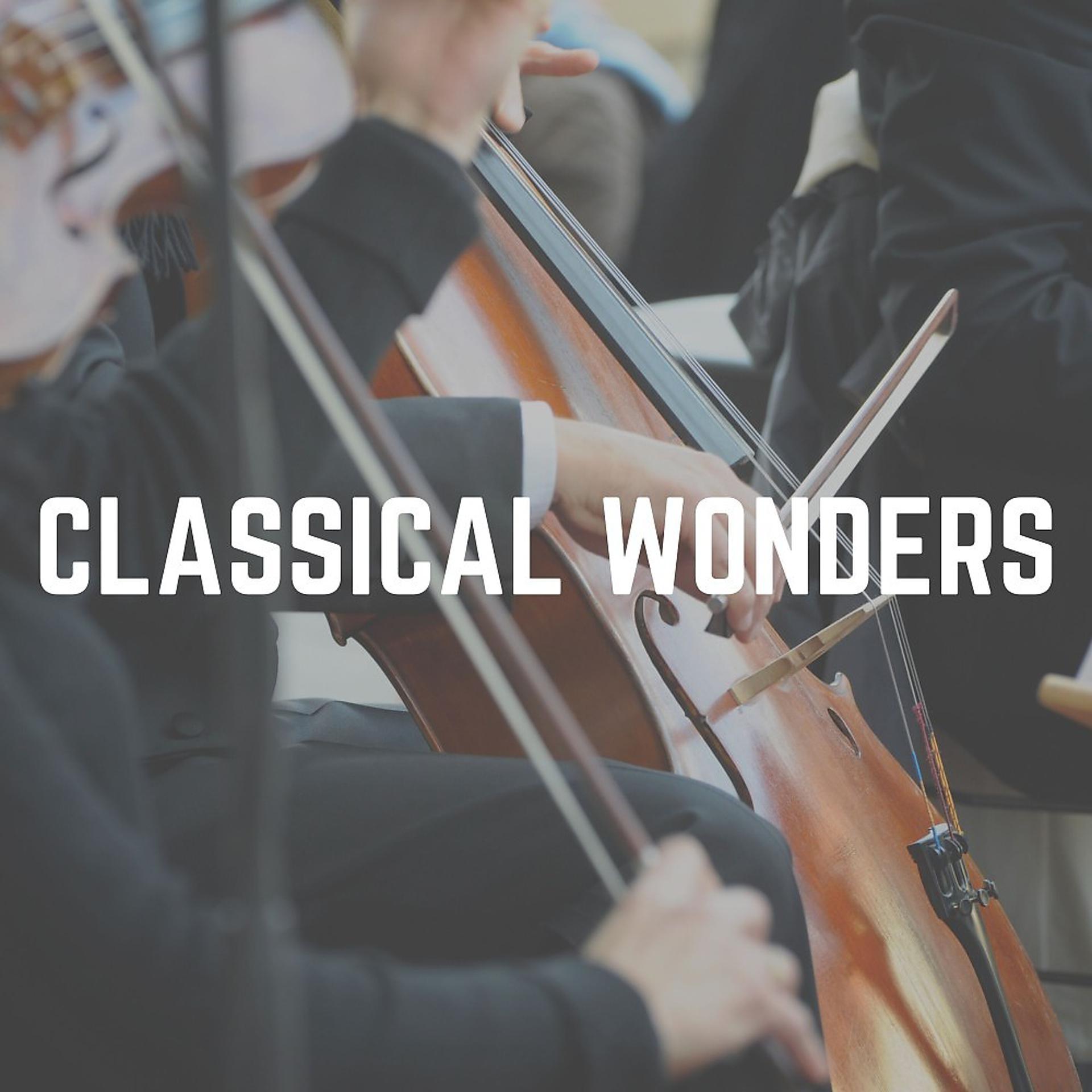 Постер альбома Classical Wonders