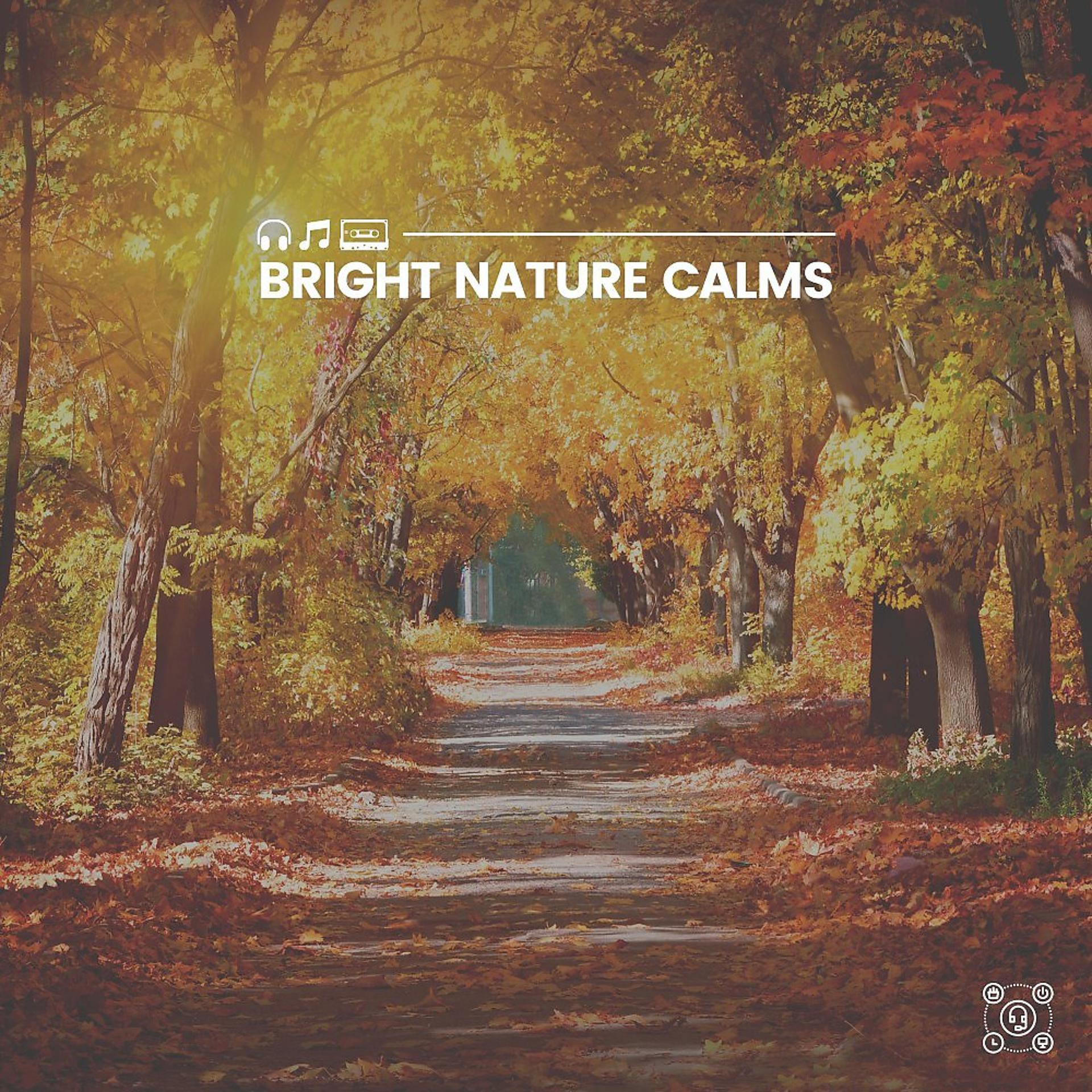 Постер альбома Bright Nature Calms
