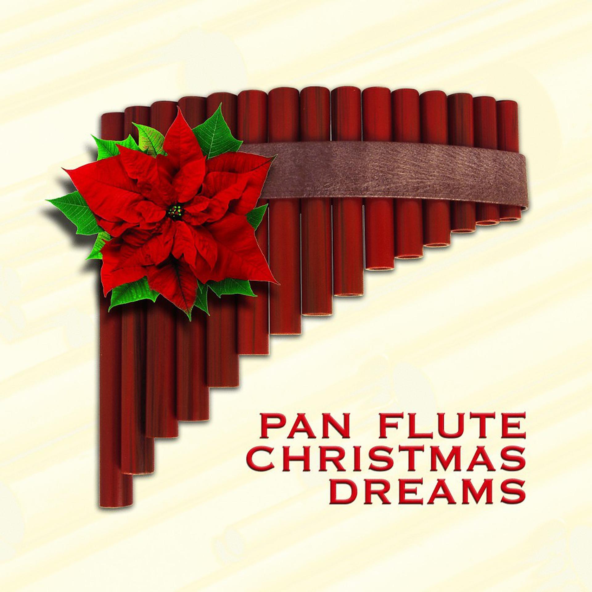 Постер альбома Pan Flute Christmas Dreams