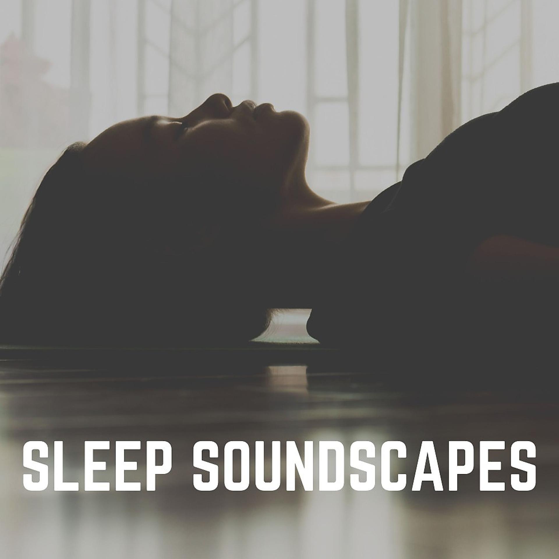 Постер альбома Sleep Soundscapes