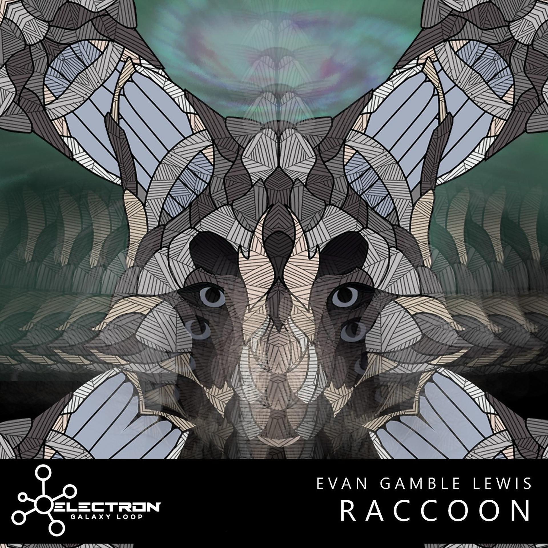 Постер альбома Raccoon