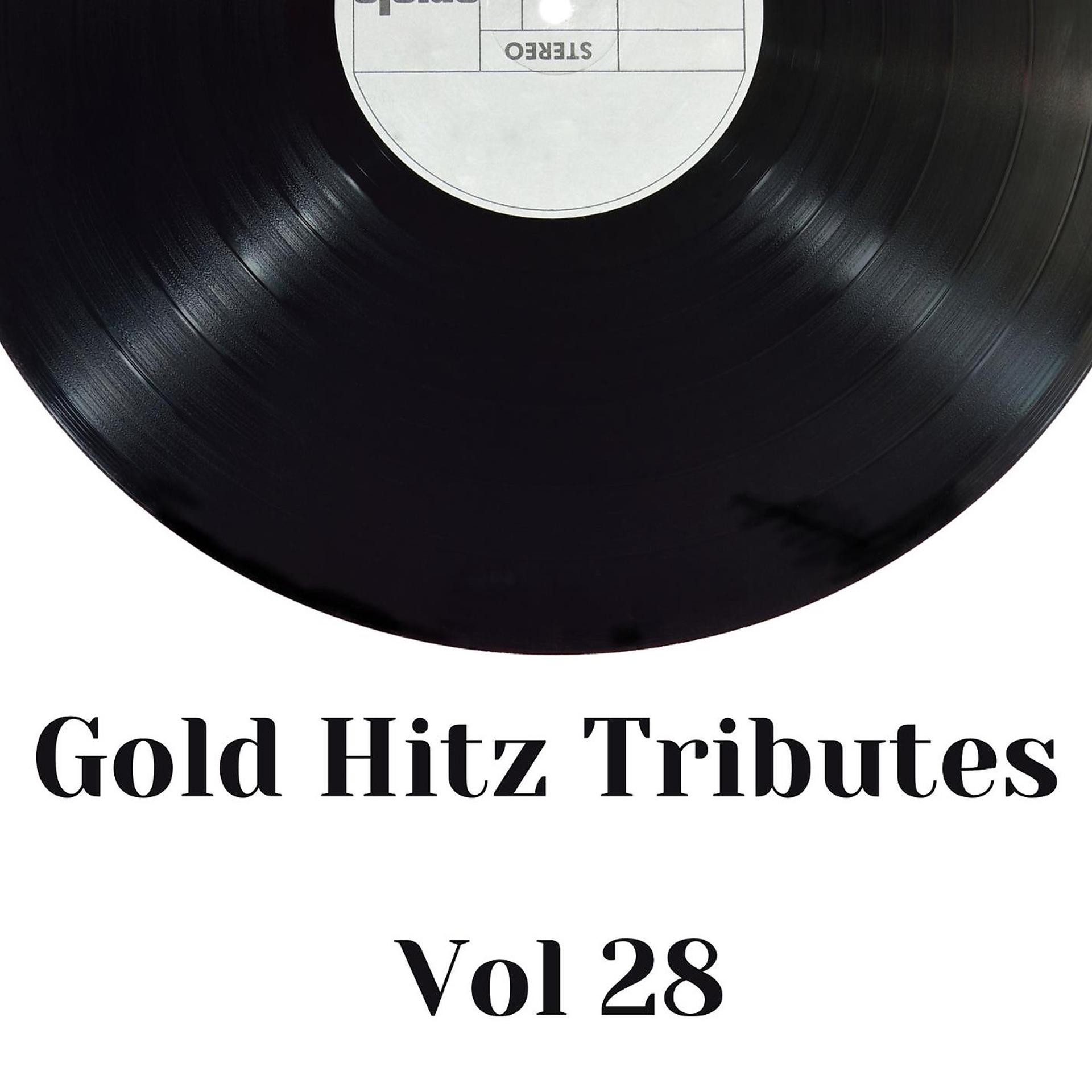 Постер альбома Gold Hitz Tributes Vol 28