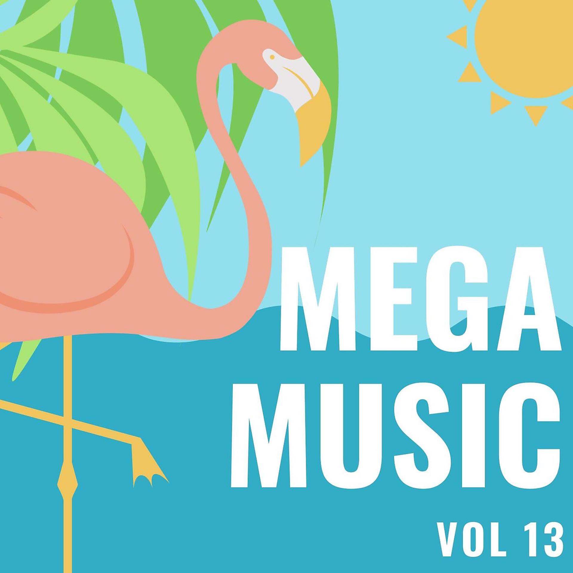 Постер альбома Mega Music Vol 13