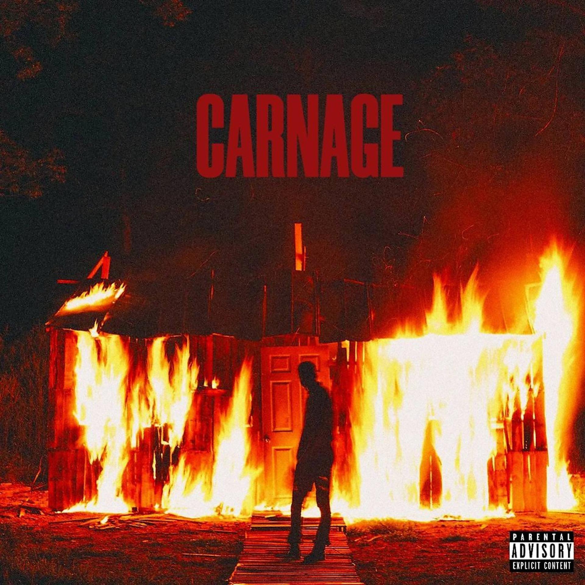 Постер альбома Carnage
