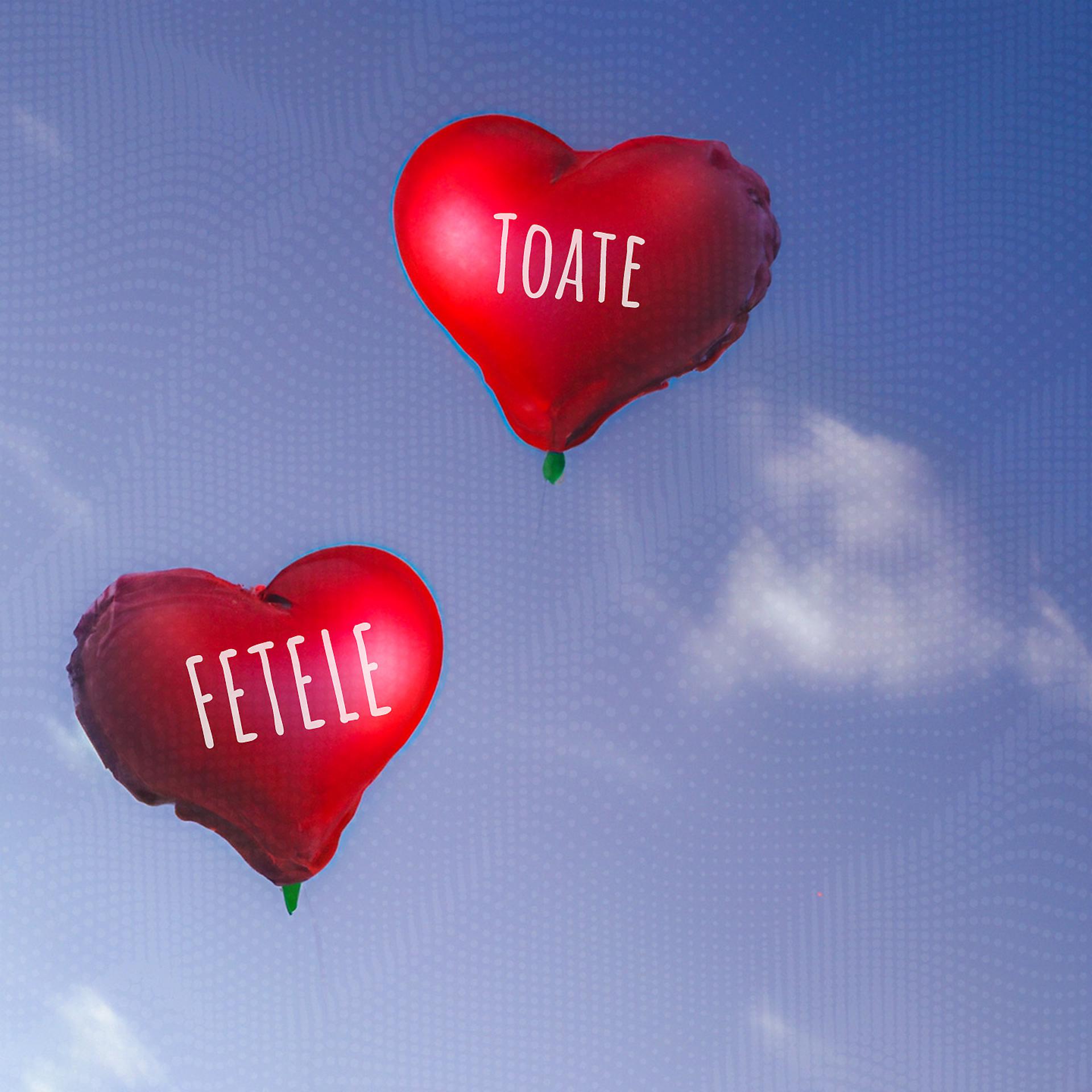 Постер альбома Toate Fetele