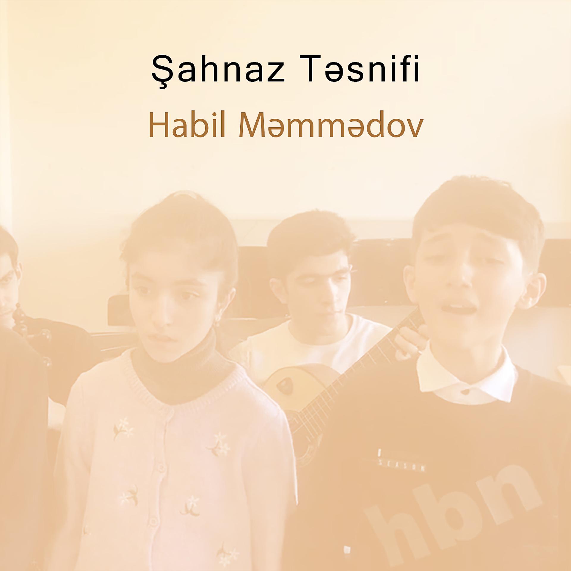 Постер альбома Şahnaz Təsnifi