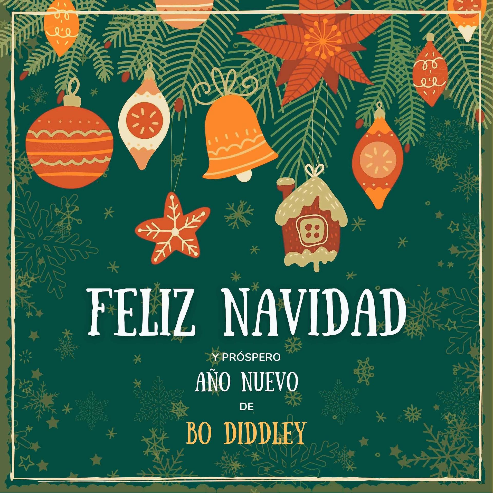 Постер альбома Feliz Navidad y próspero Año Nuevo de Bo Diddley