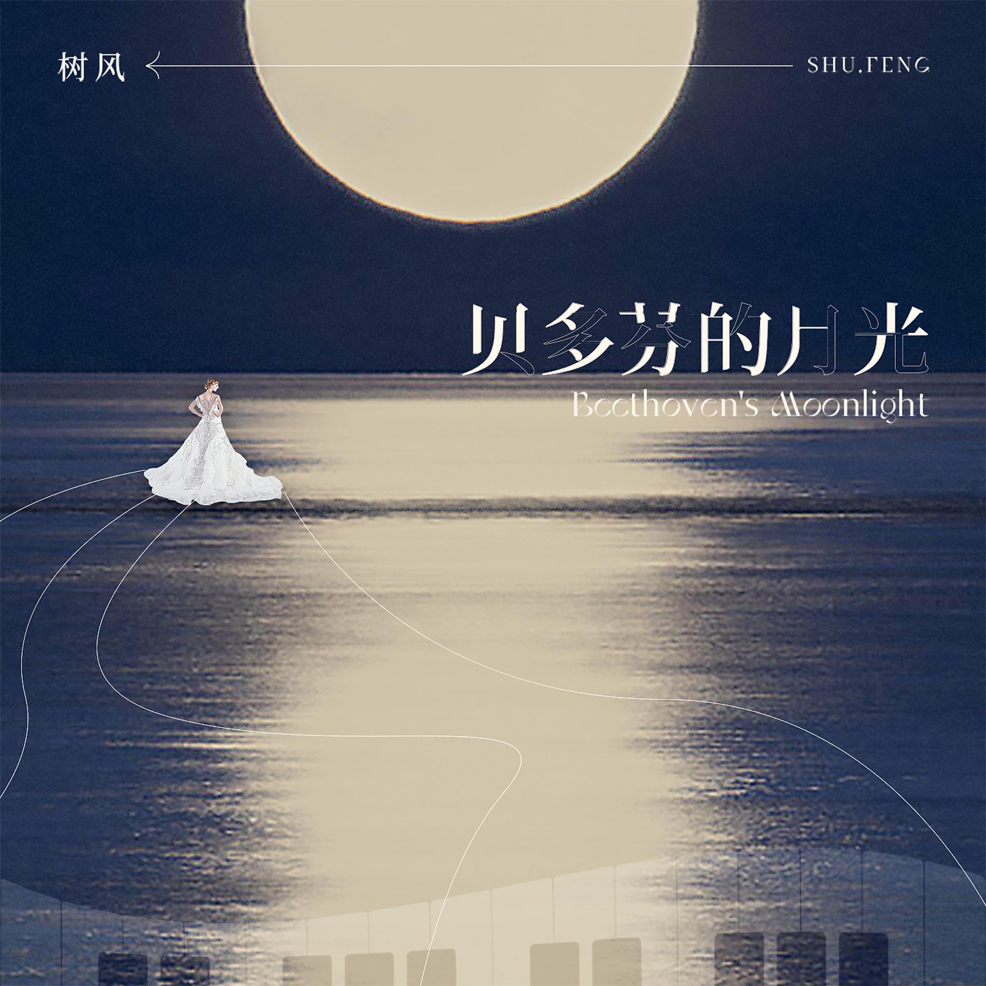 Постер альбома 贝多芬的月光