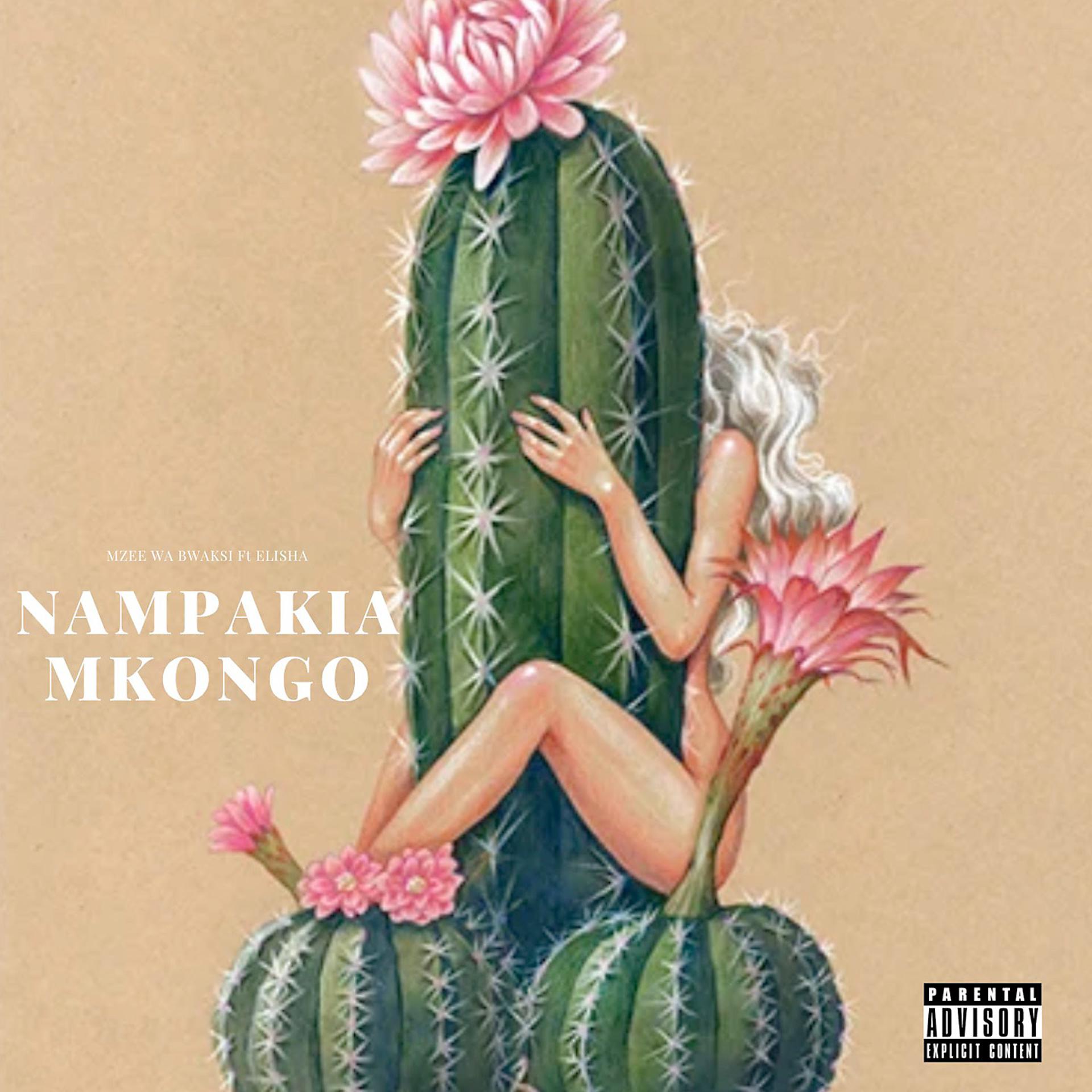 Постер альбома Nampakia Mkongo