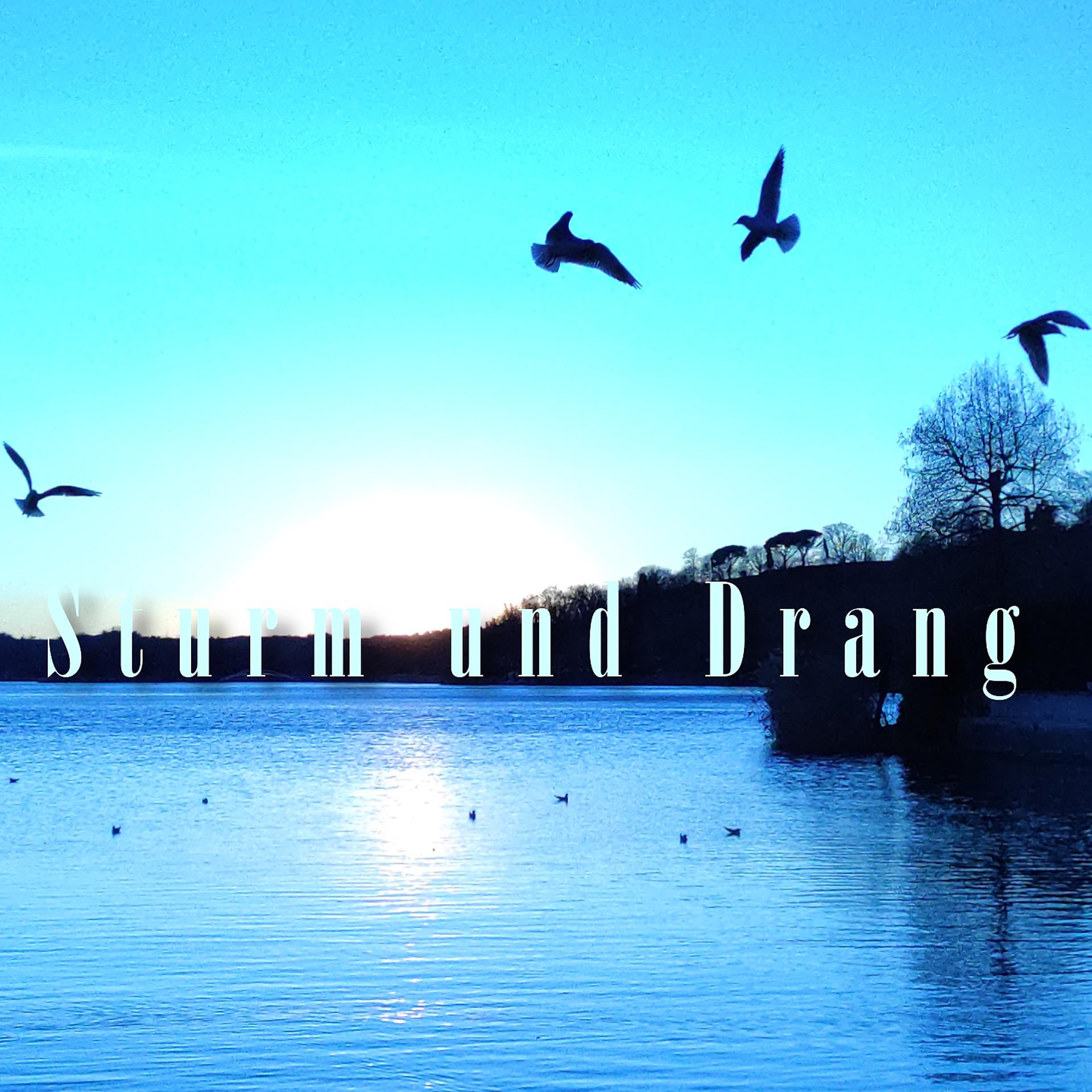 Постер альбома Sturm und Drang