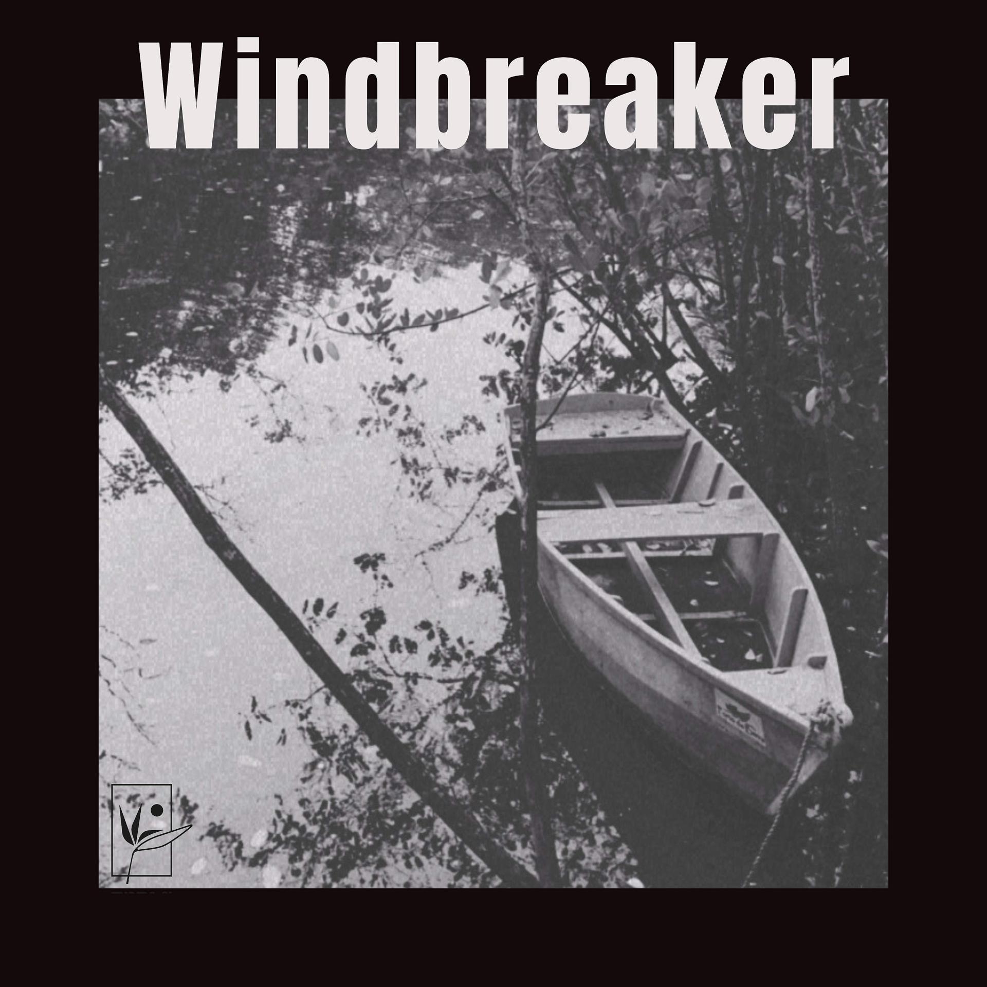 Постер альбома Windbreaker
