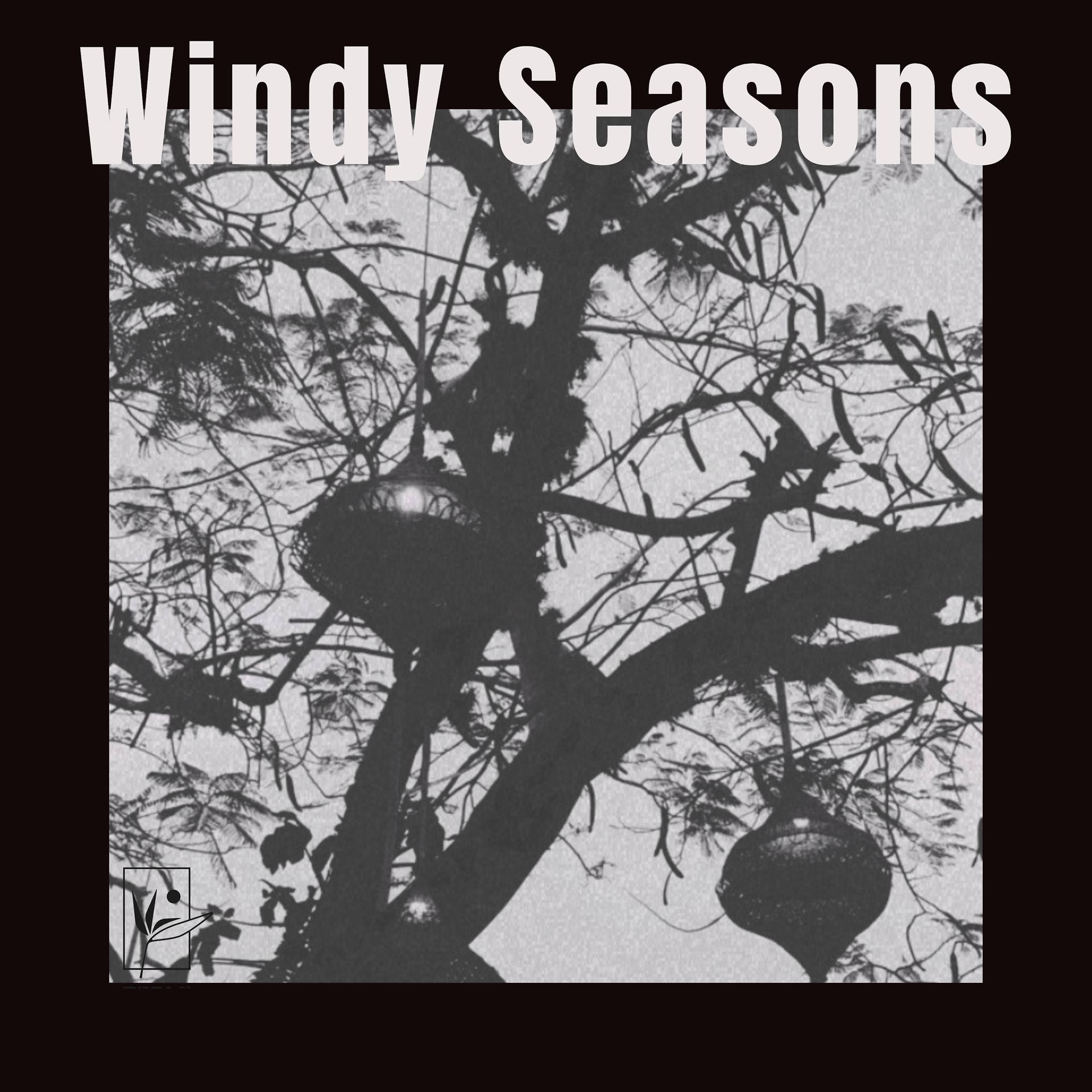 Постер альбома Windy Seasons