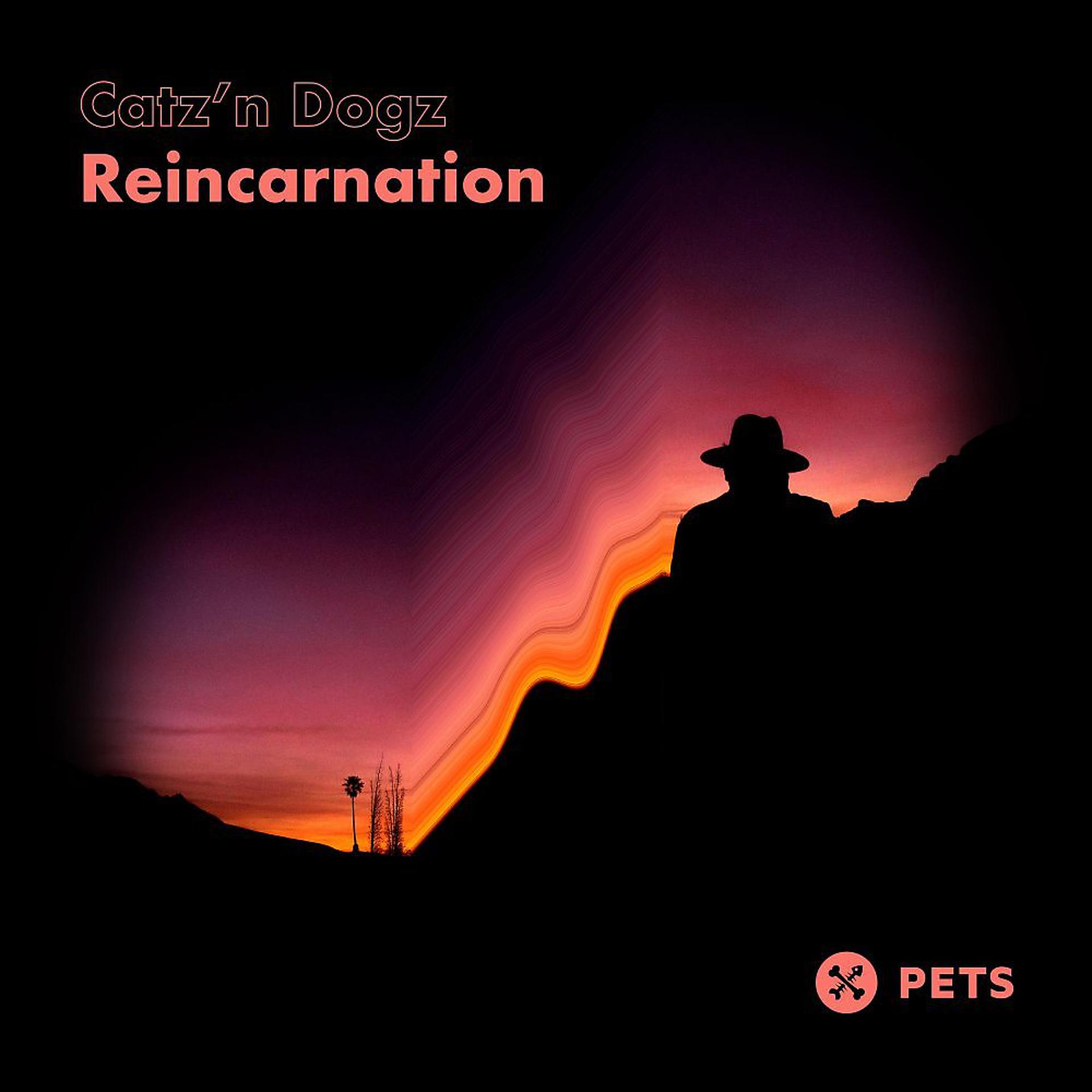 Постер альбома Reincarnation EP