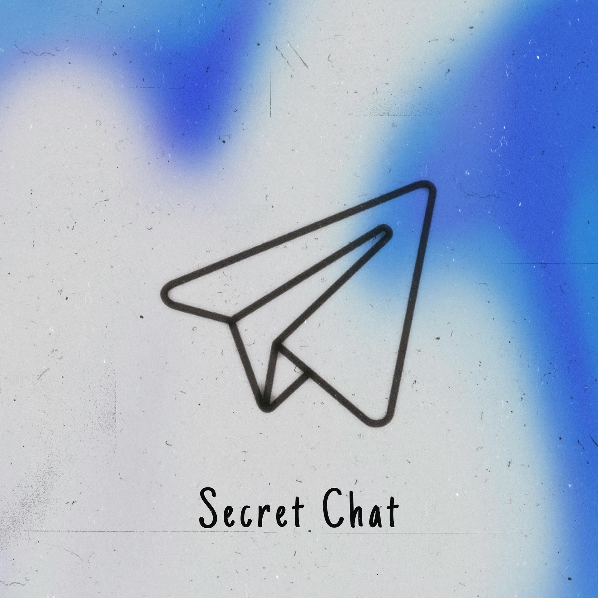 Постер альбома Secret Chat
