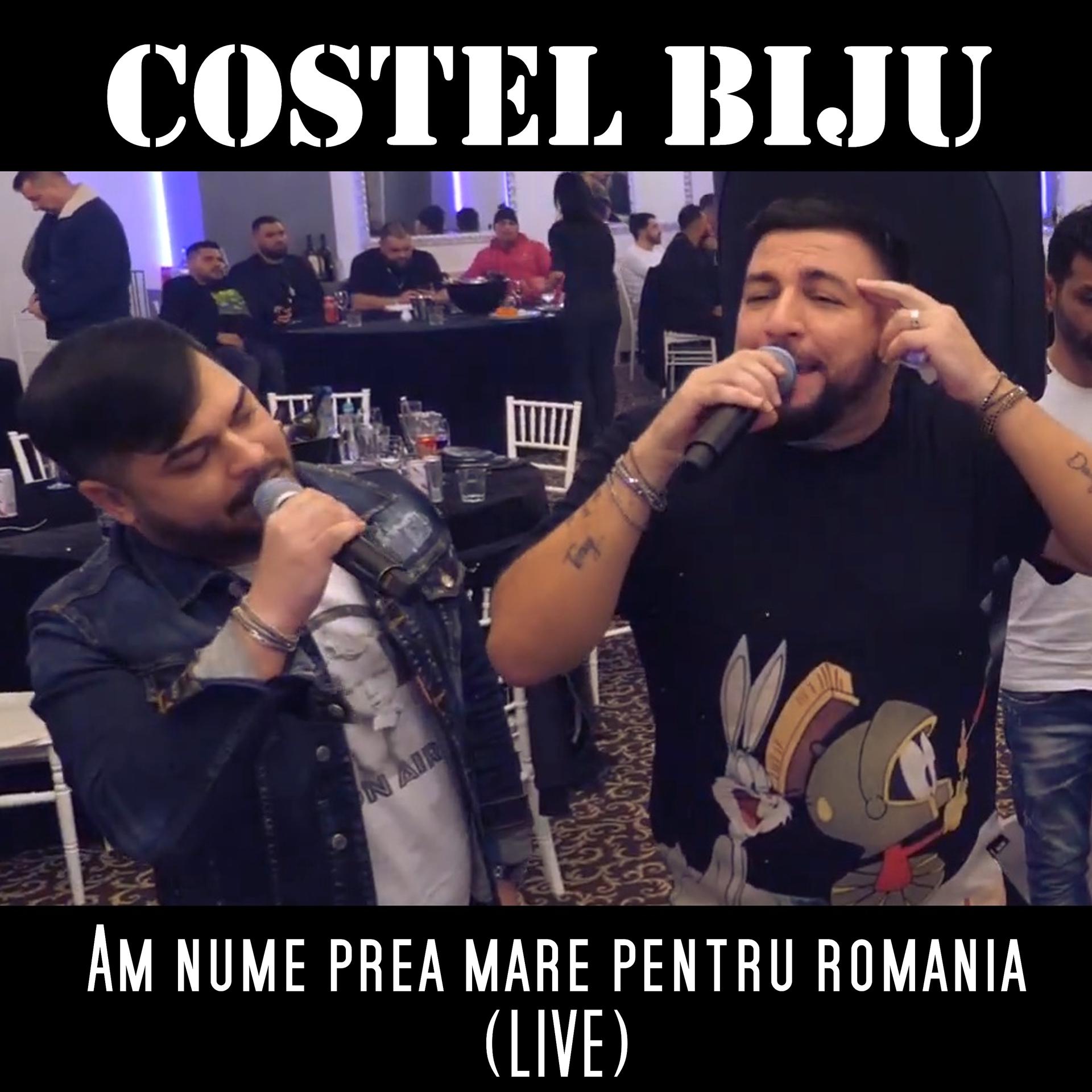 Постер альбома Am nume prea mare pentru Romania