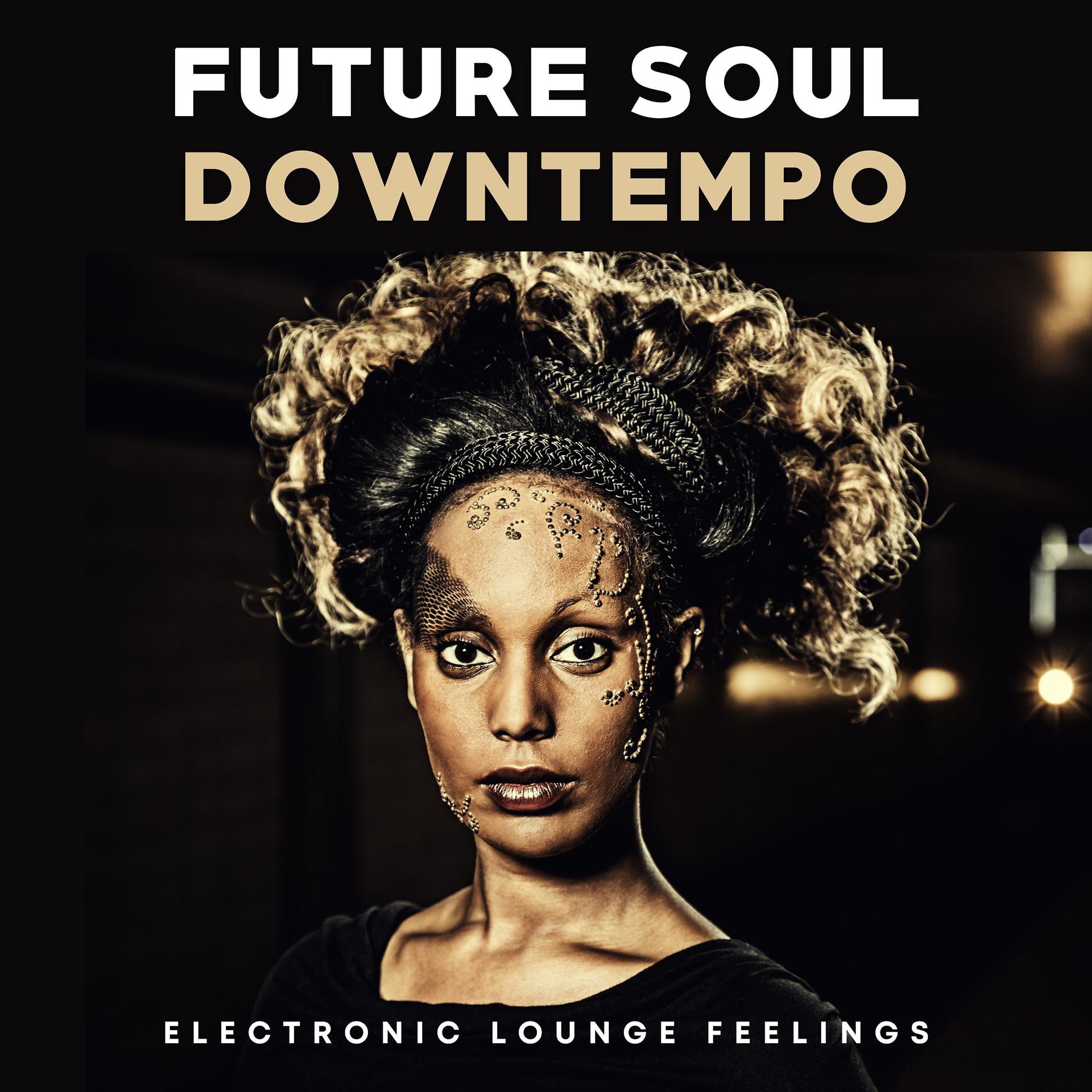 Постер альбома Future Soul Downtempo