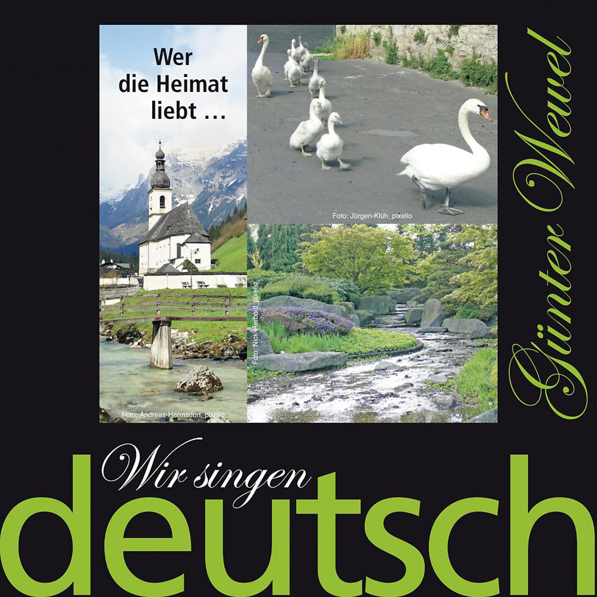 Постер альбома Wir singen deutsch - Wer die Heimat liebt ...