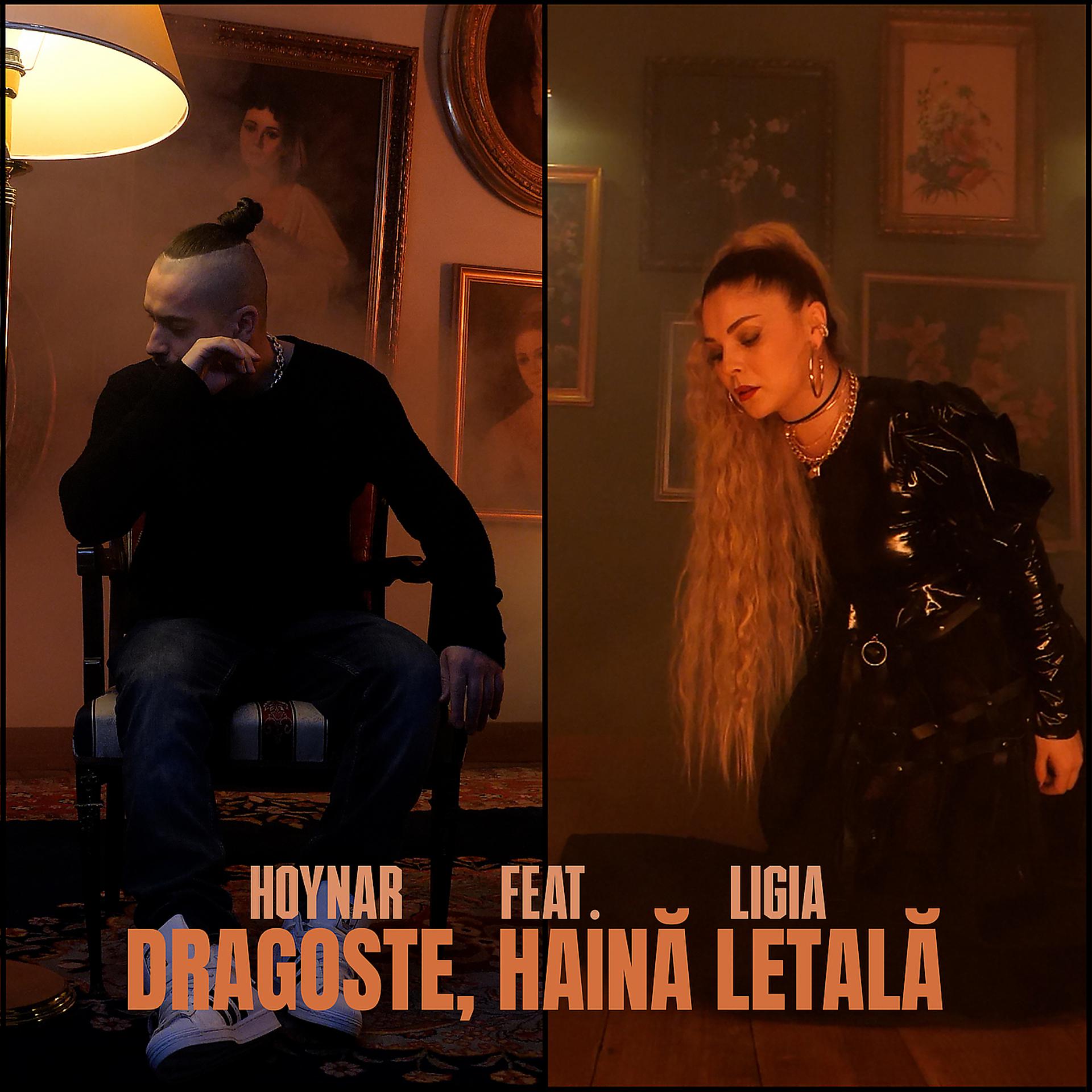 Постер альбома Dragoste, Haina Letala