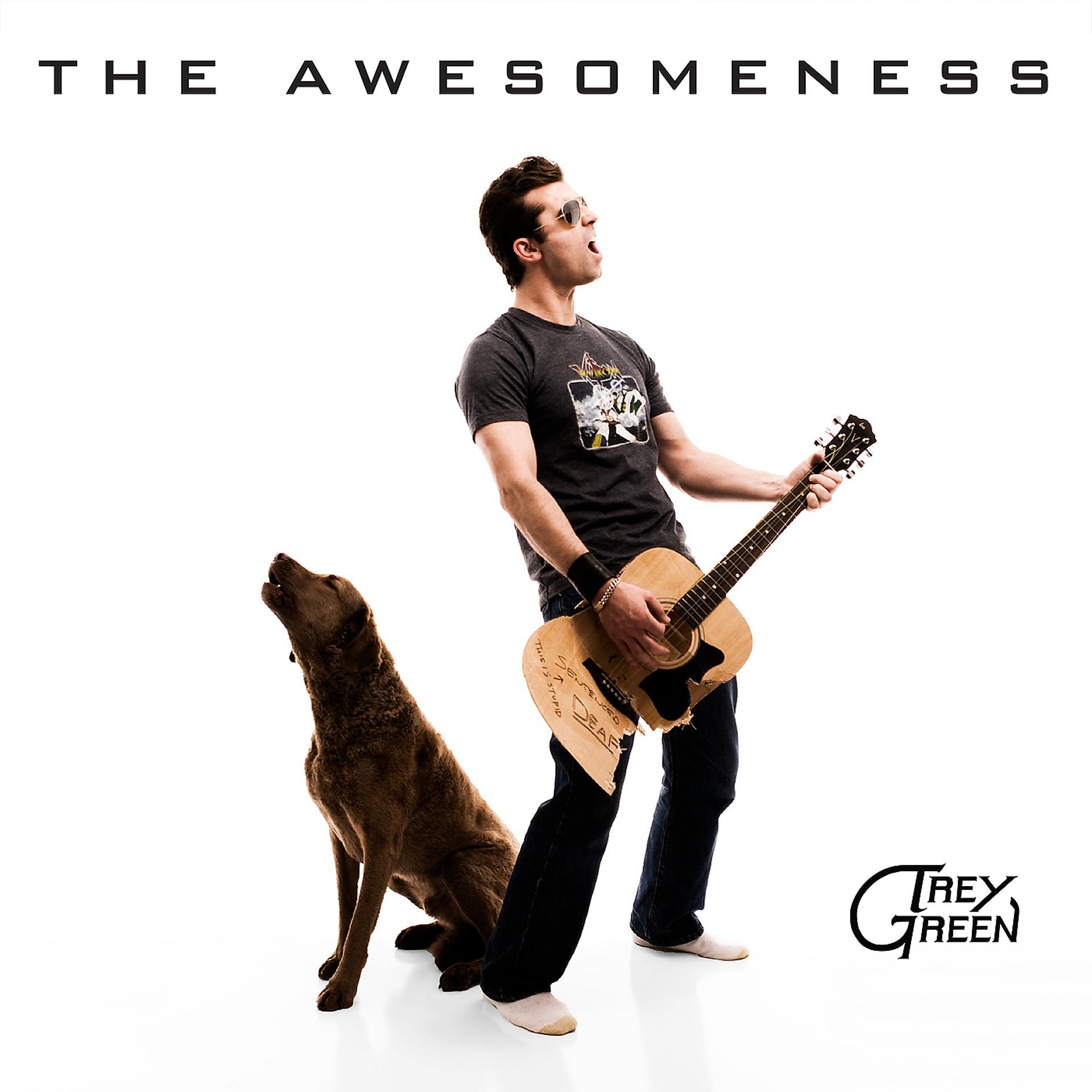 Постер альбома The Awesomeness