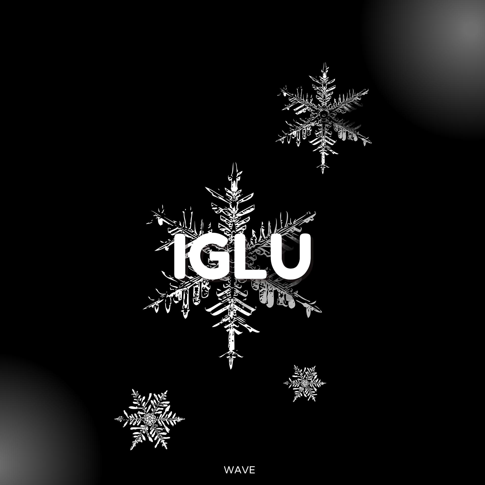 Постер альбома Iglu