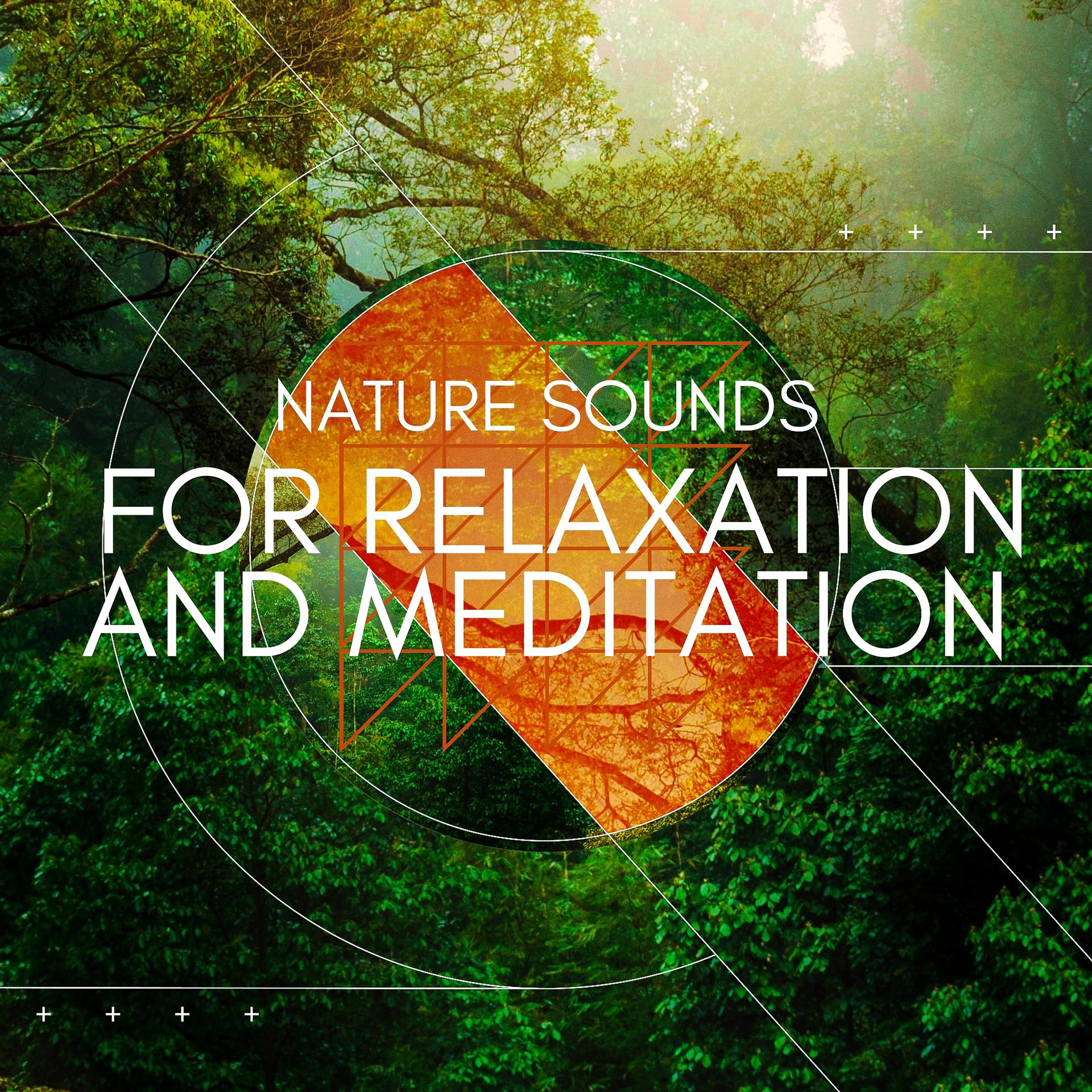 Постер альбома Nature Sounds for Relaxation and Meditation