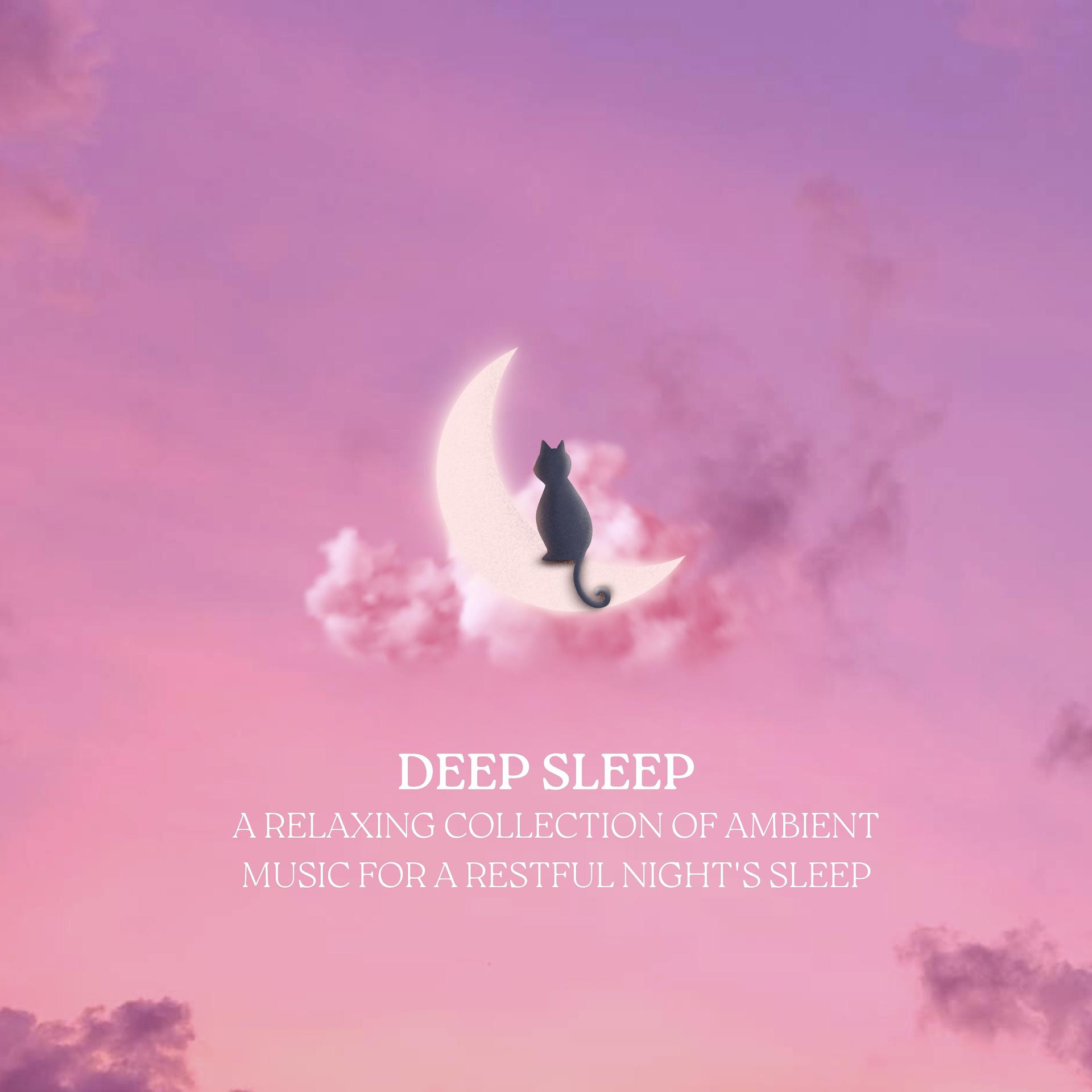 Постер альбома Deep Sleep: A Relaxing Collection of Ambient Music for a Restful Night's Sleep