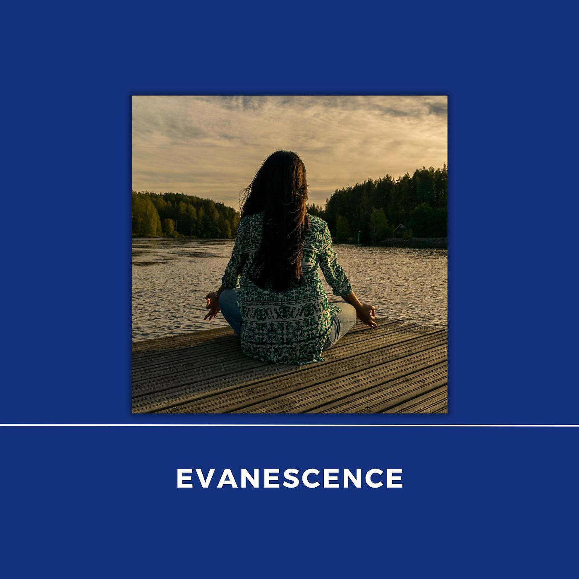 Постер альбома Evanescence