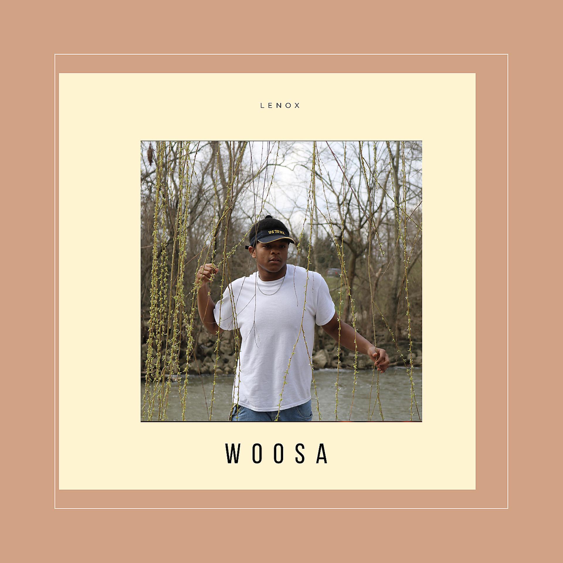 Постер альбома Woosa
