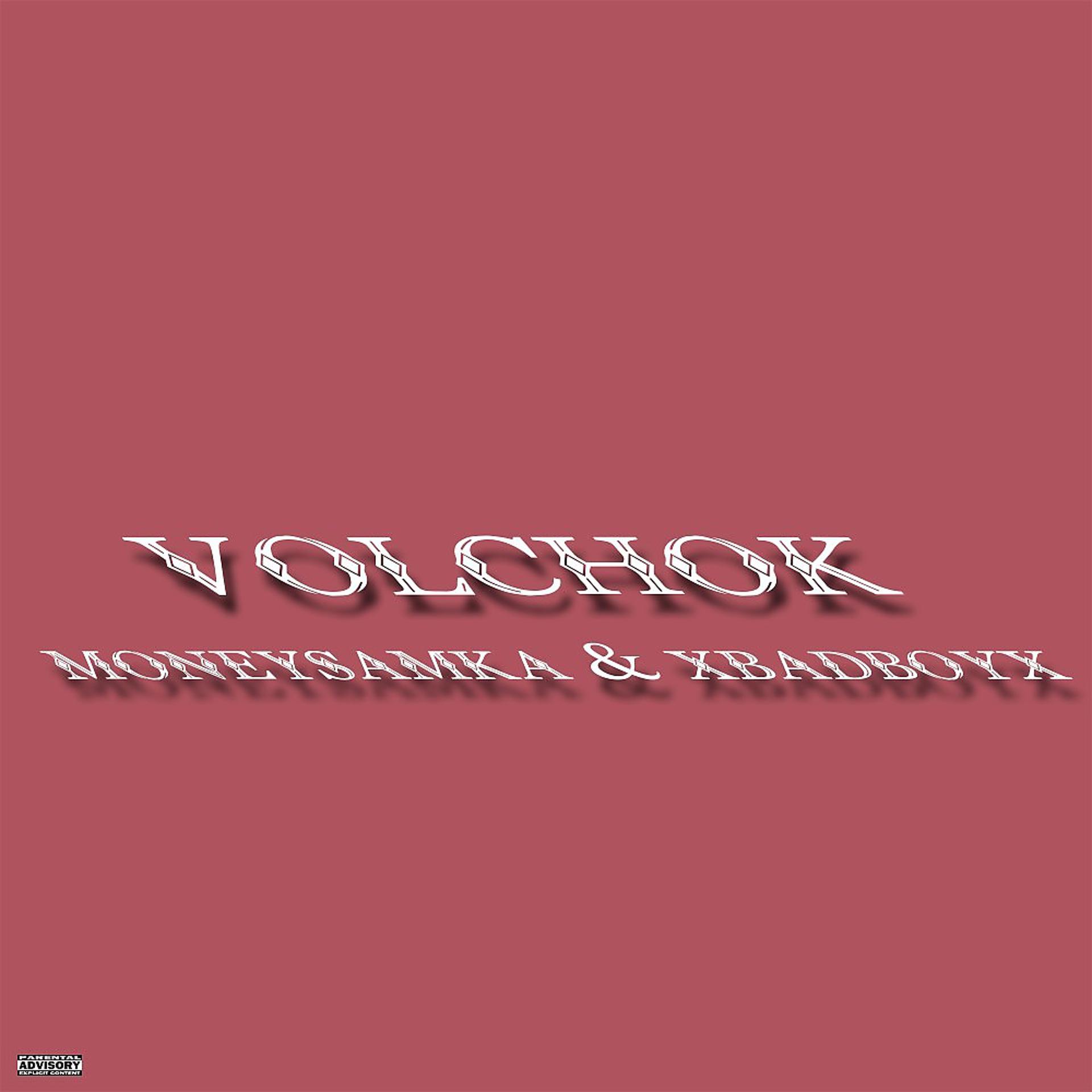 Постер альбома Volchok (Prod. Marlon MALWARE)