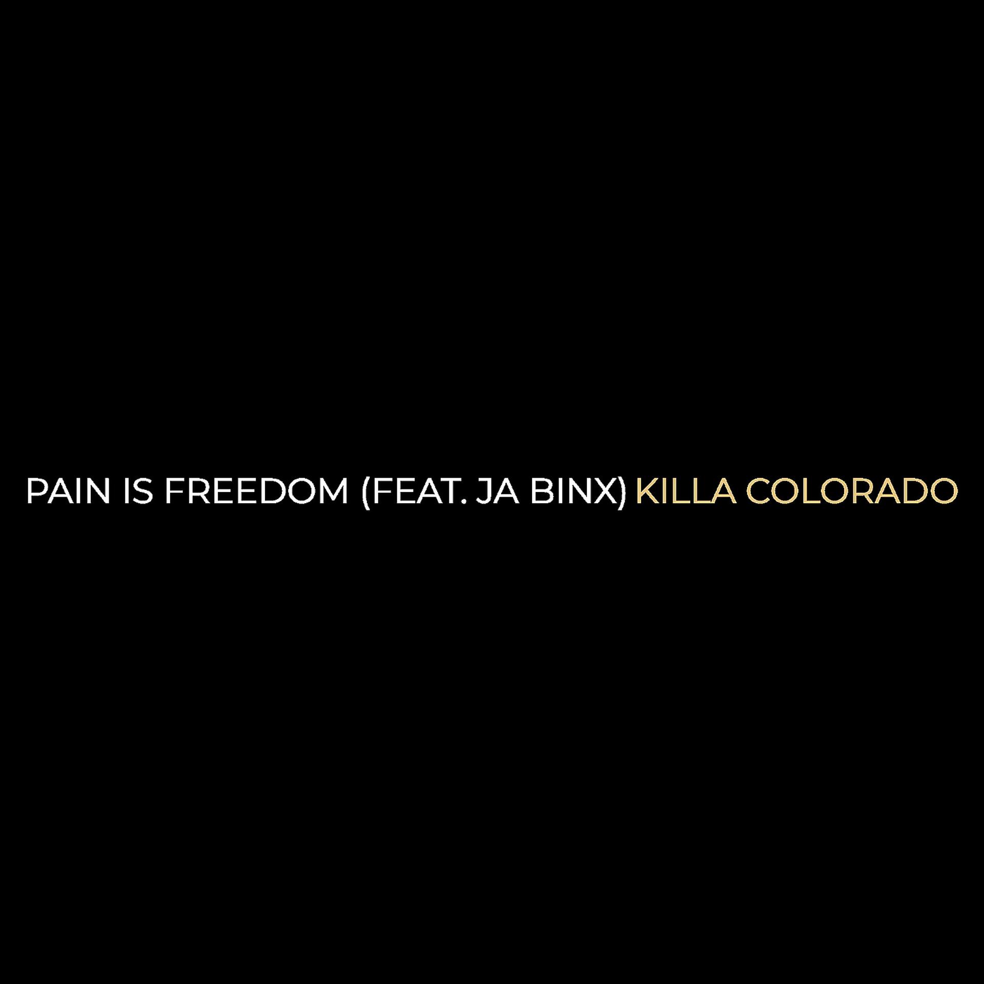 Постер альбома Pain Is Freedom