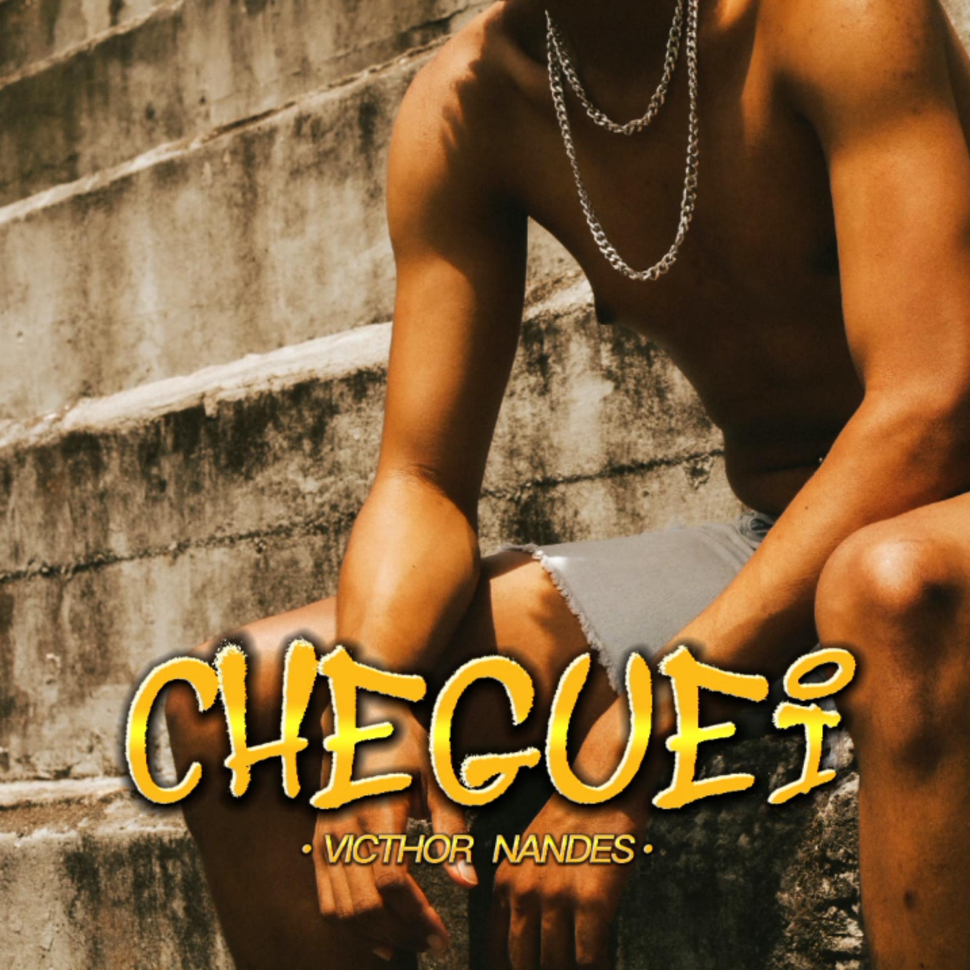 Постер альбома Cheguei