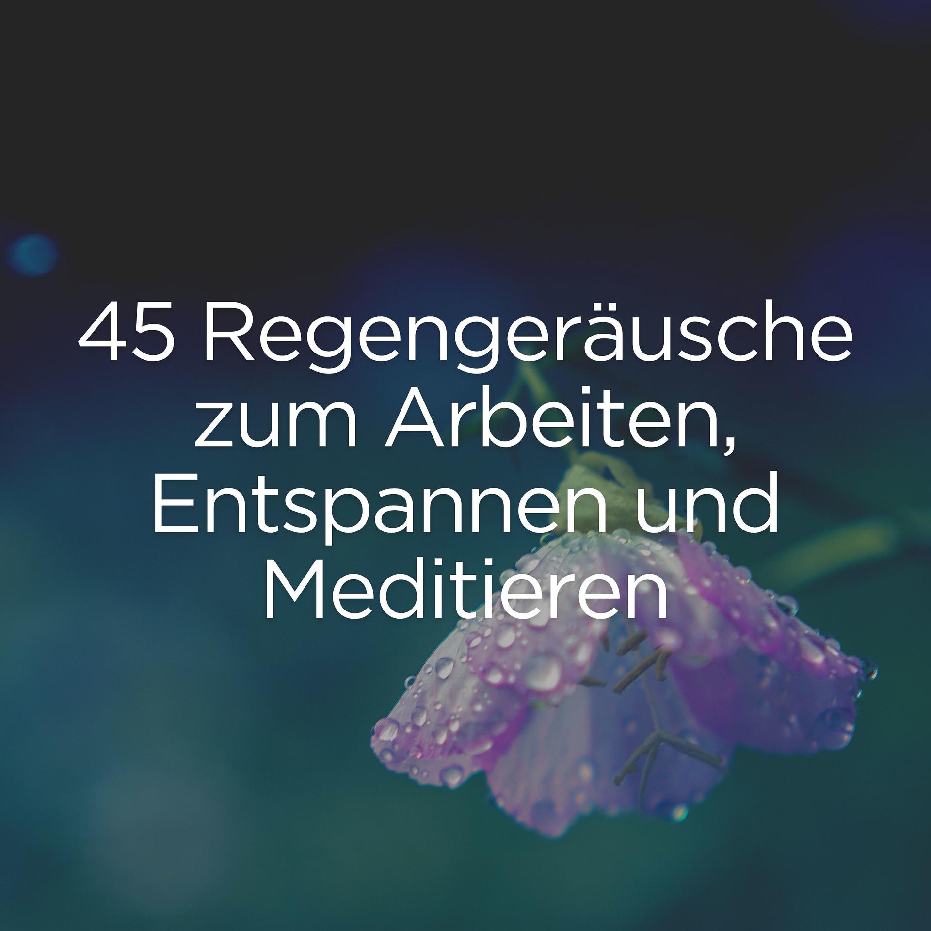 Постер альбома 45 Regengeräusche zum Arbeiten, Entspannen und Meditieren