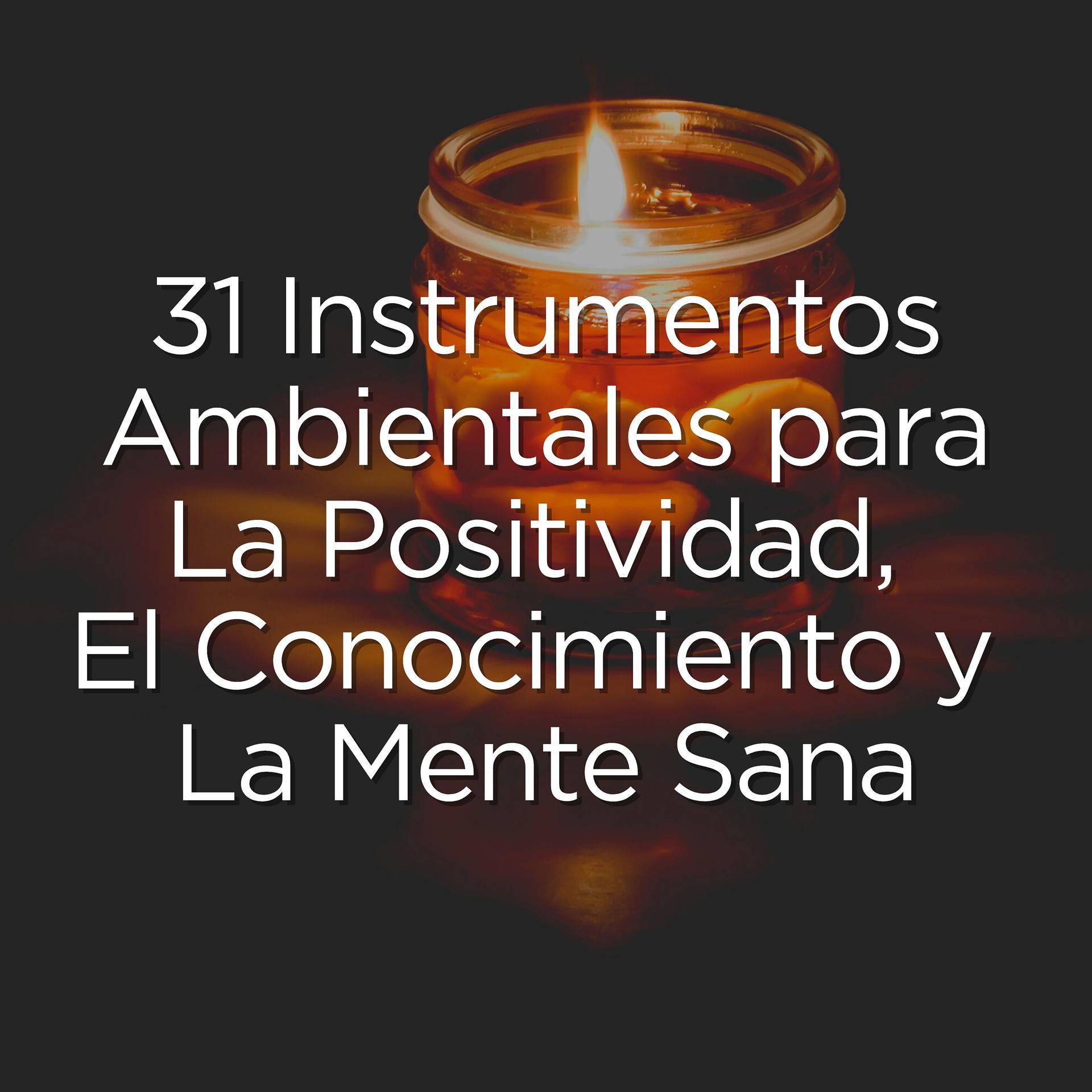 Постер альбома 31 Instrumentos Ambientales para La Positividad, El Conocimiento y La Mente Sana