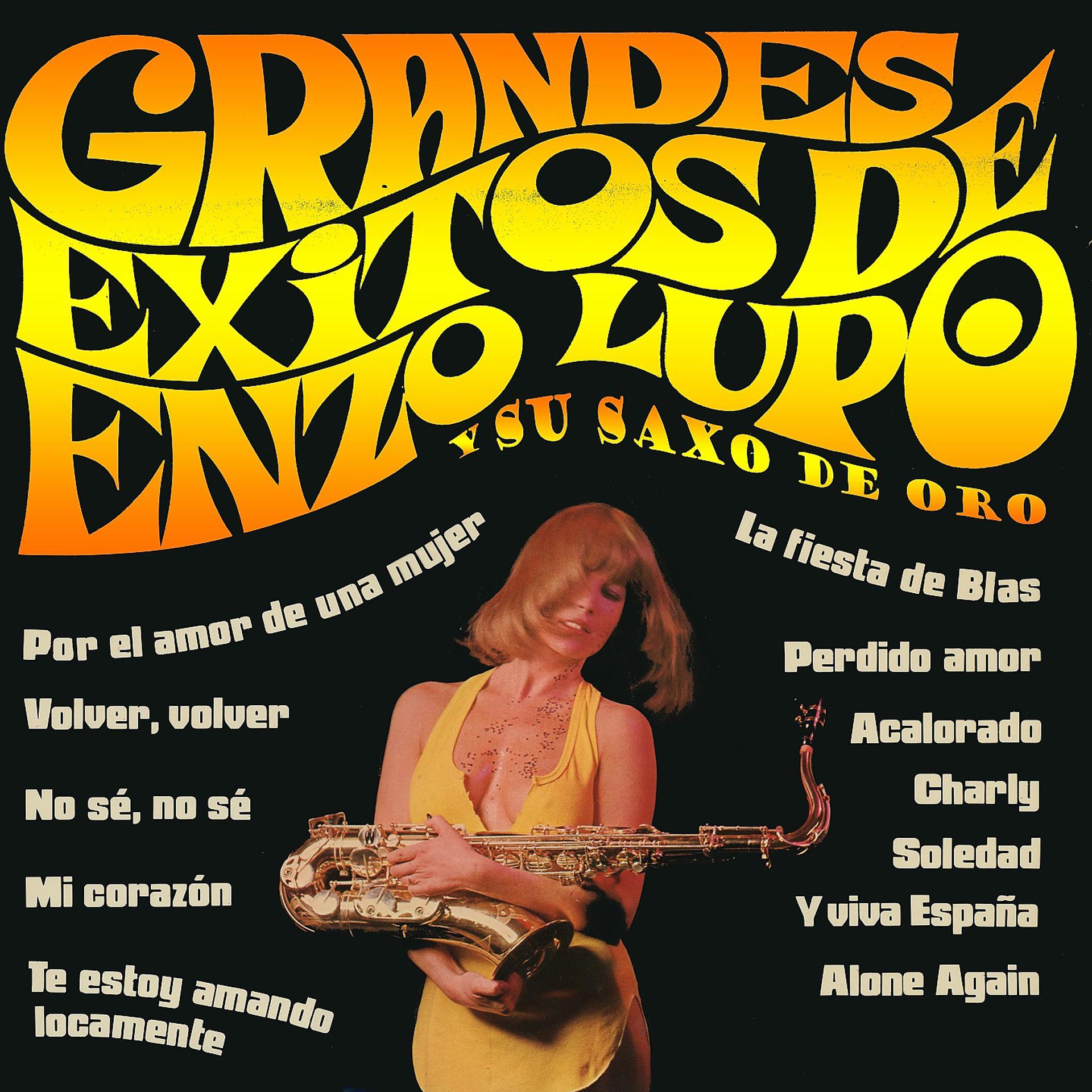 Постер альбома Grandes Exitos de