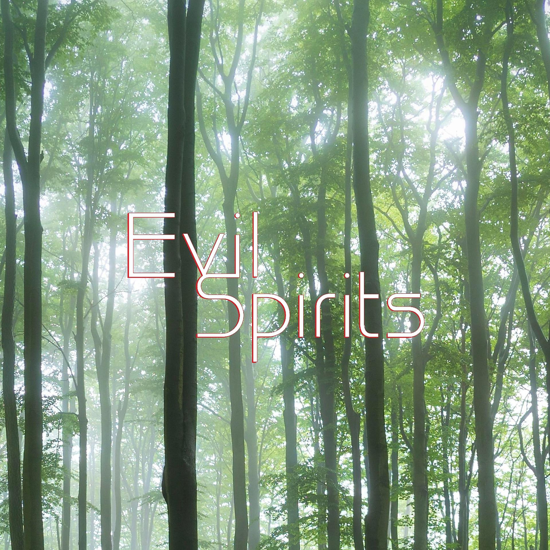 Постер альбома Evil spirits