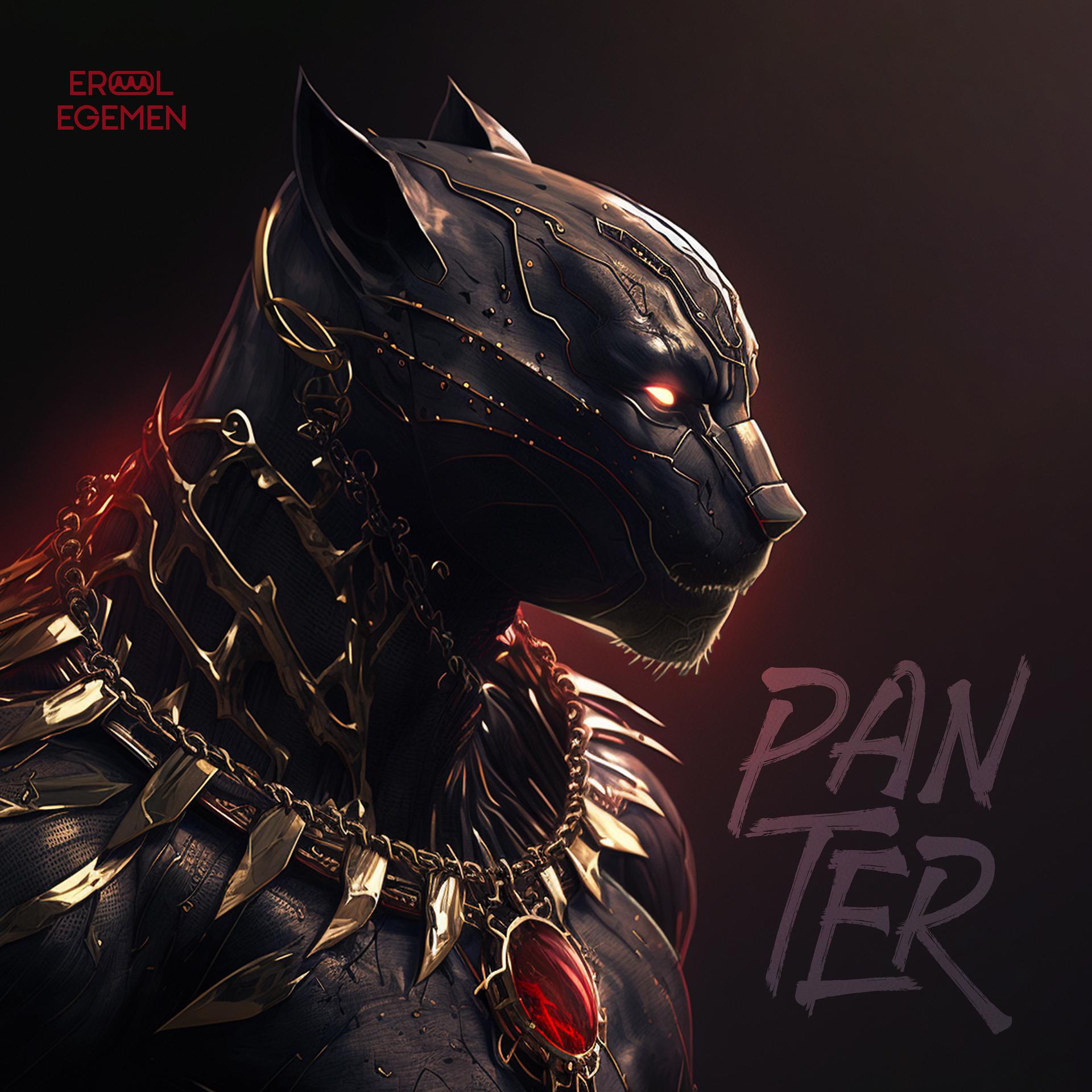 Постер альбома Panter