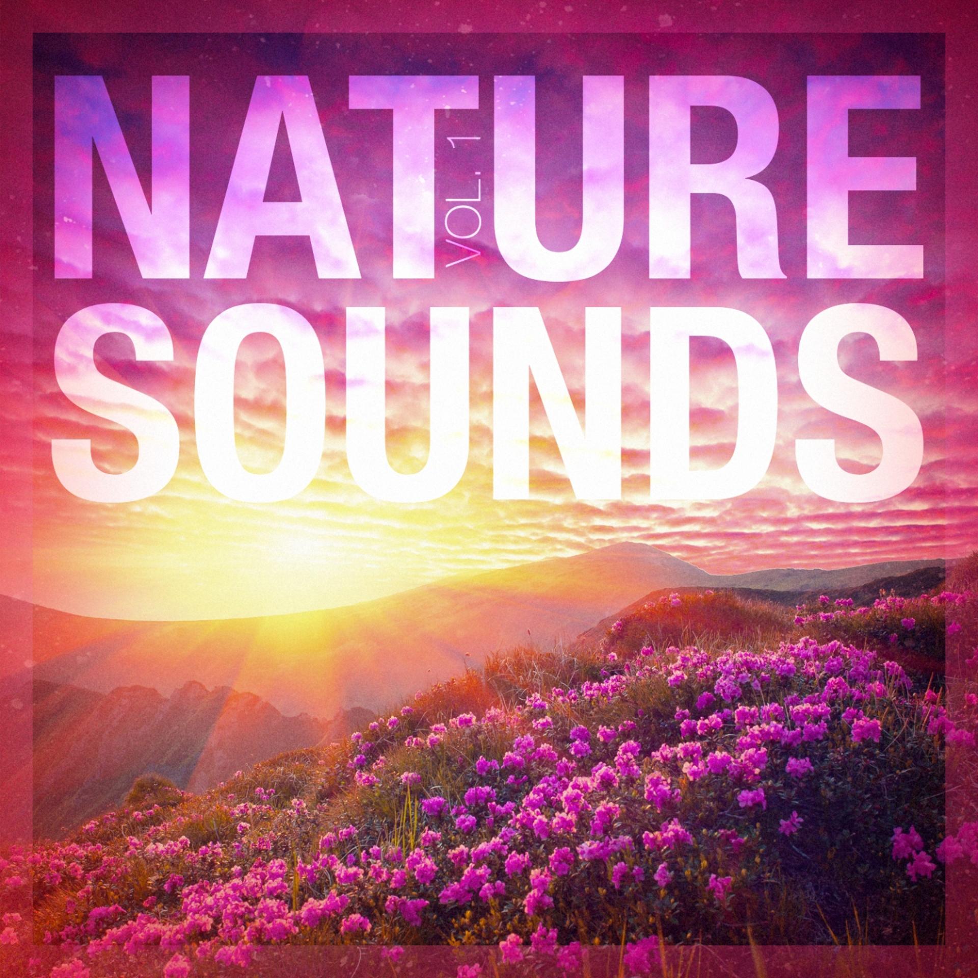 Постер альбома Nature Sounds, Vol. 1