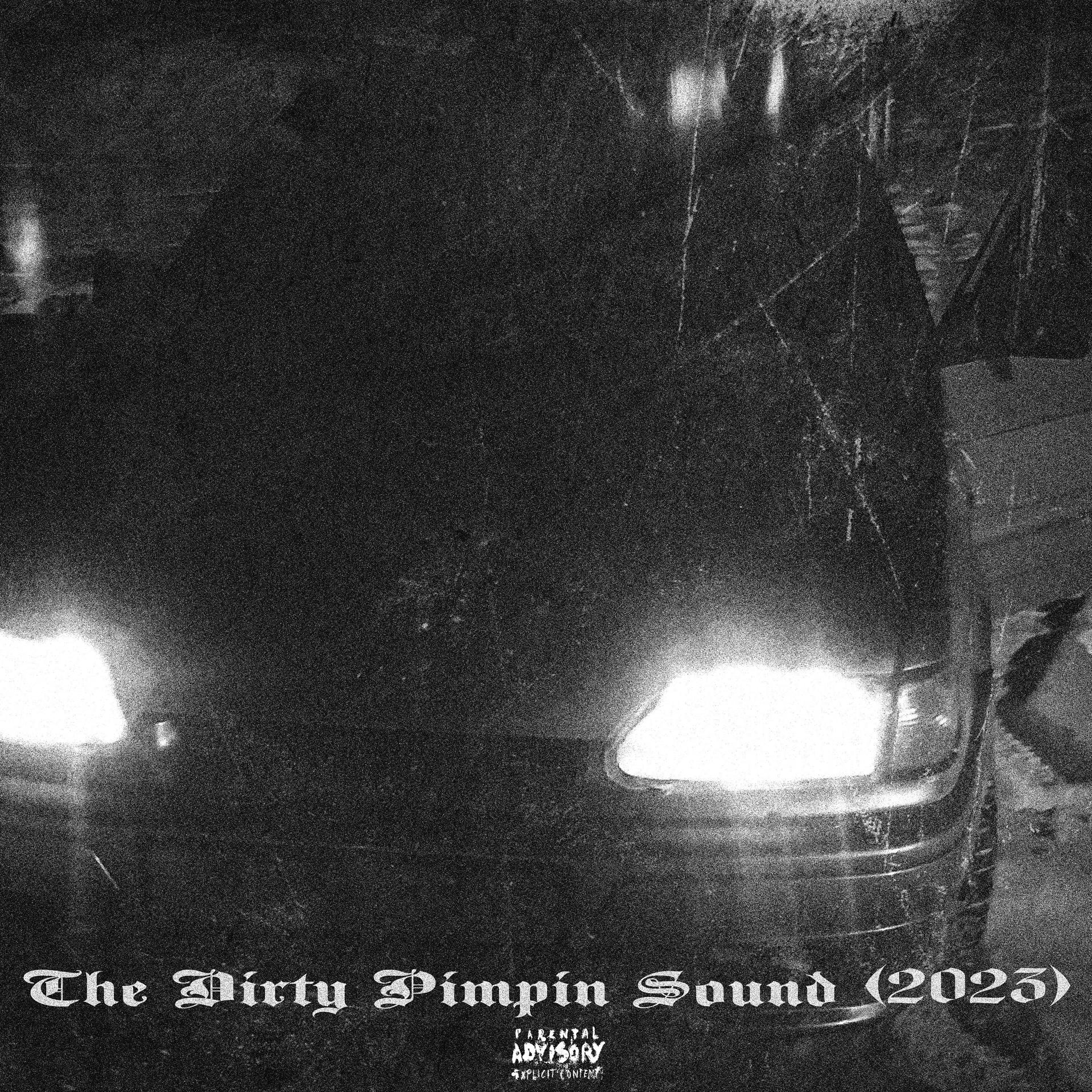 Постер альбома The Dirty Pimpin Sound