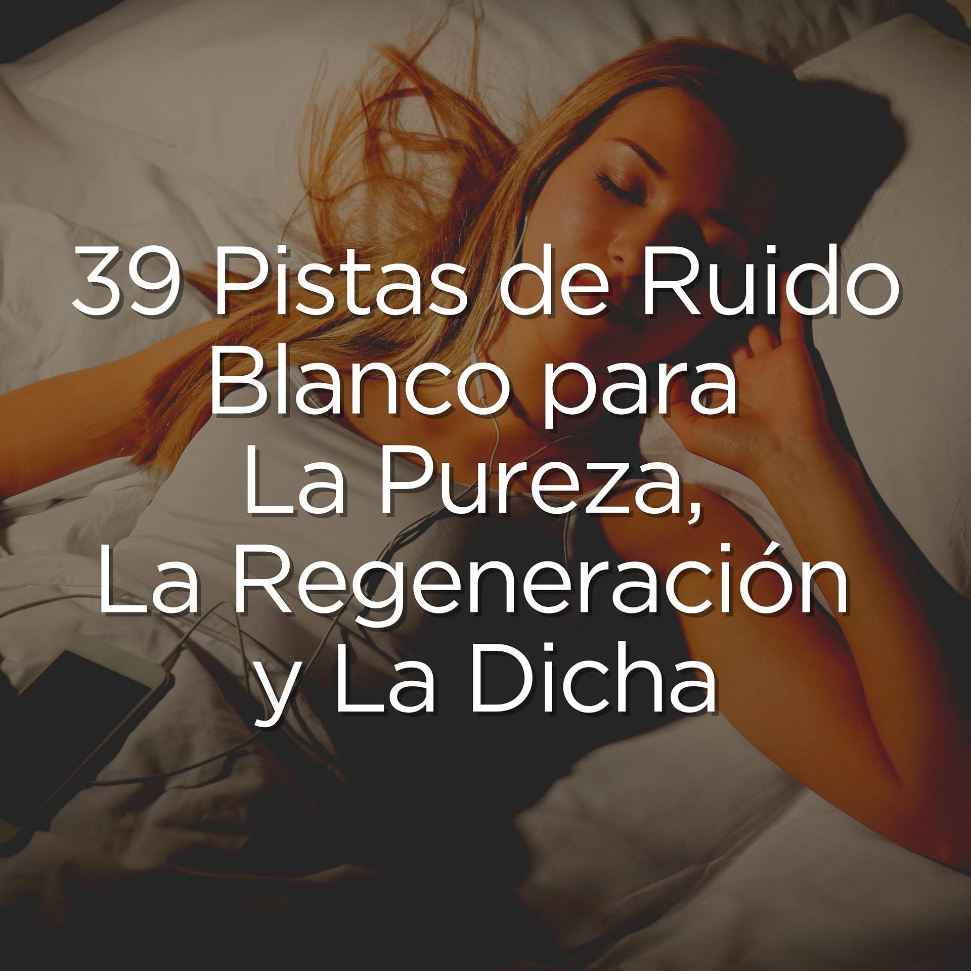 Постер альбома 39 Pistas de Ruido Blanco para La Pureza, La Regeneración y La Dicha