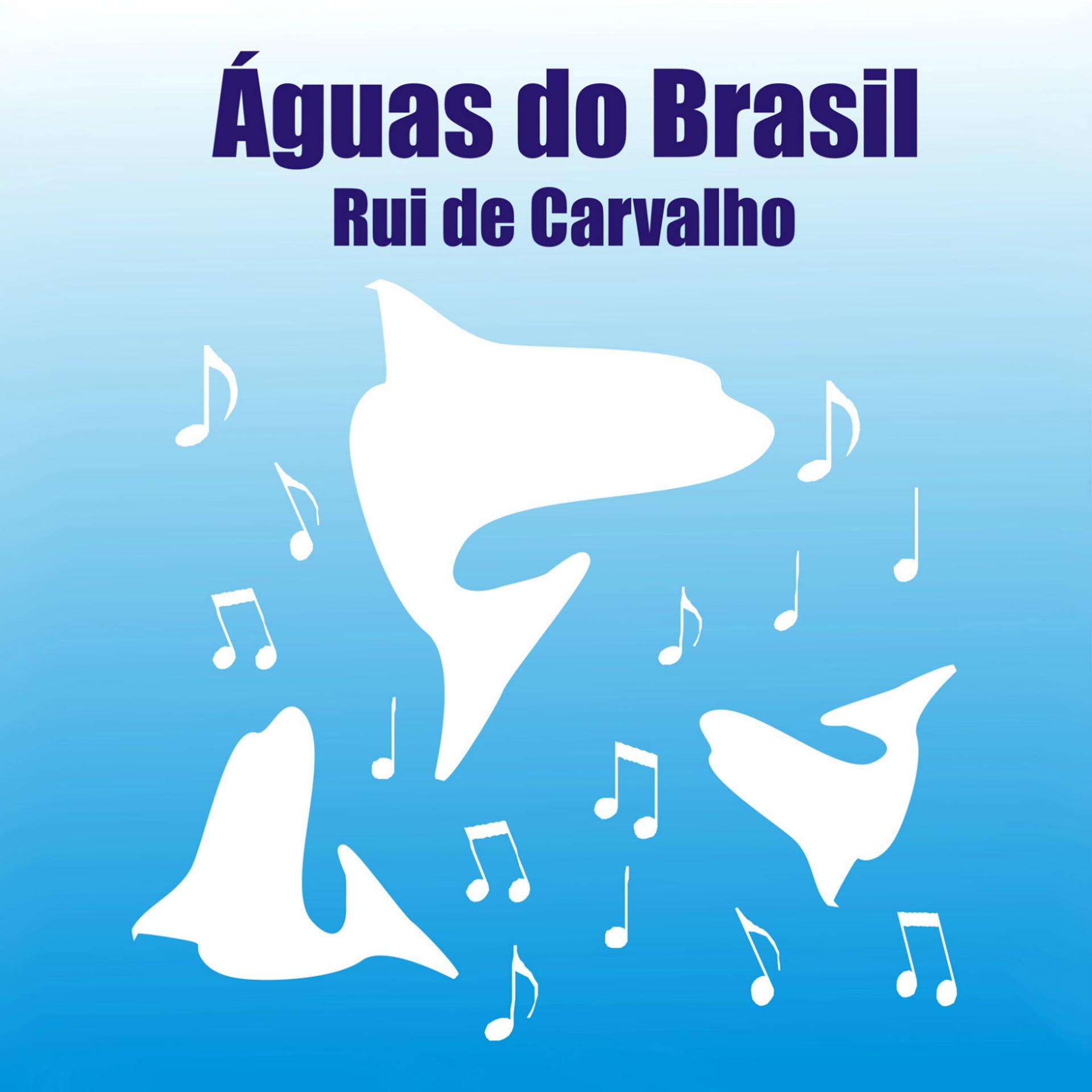 Постер альбома Águas do Brasil